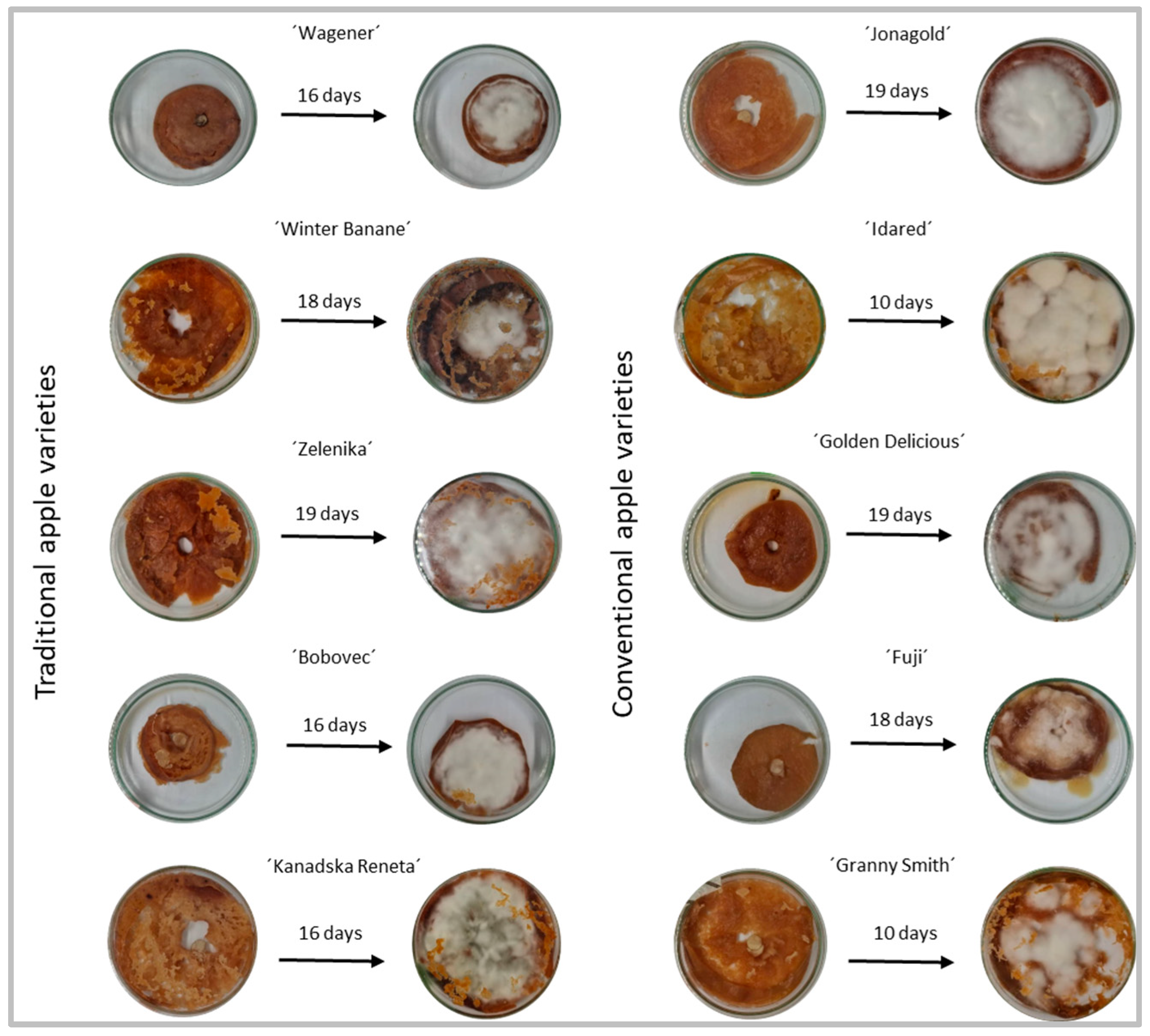 Sustainability 16 05019 g003