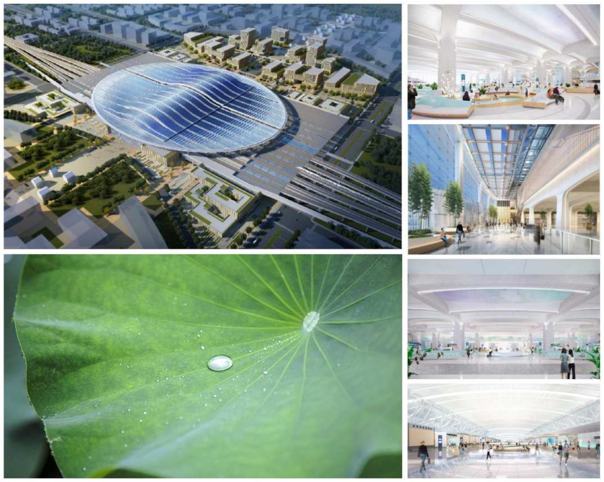 Sustainability 16 05021 g011