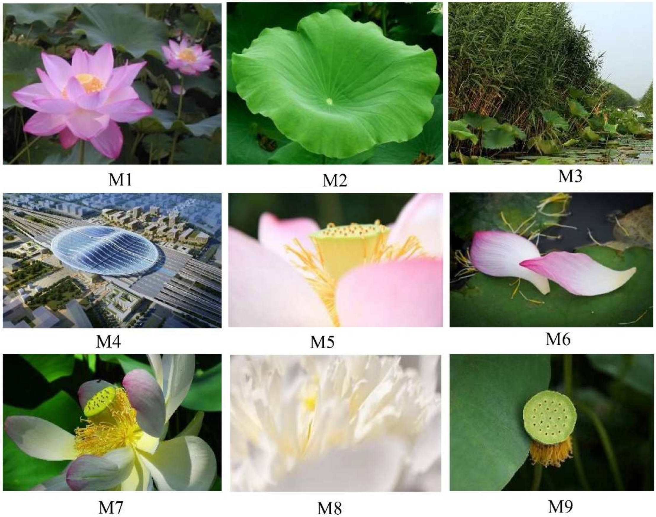 Sustainability 16 05021 g012