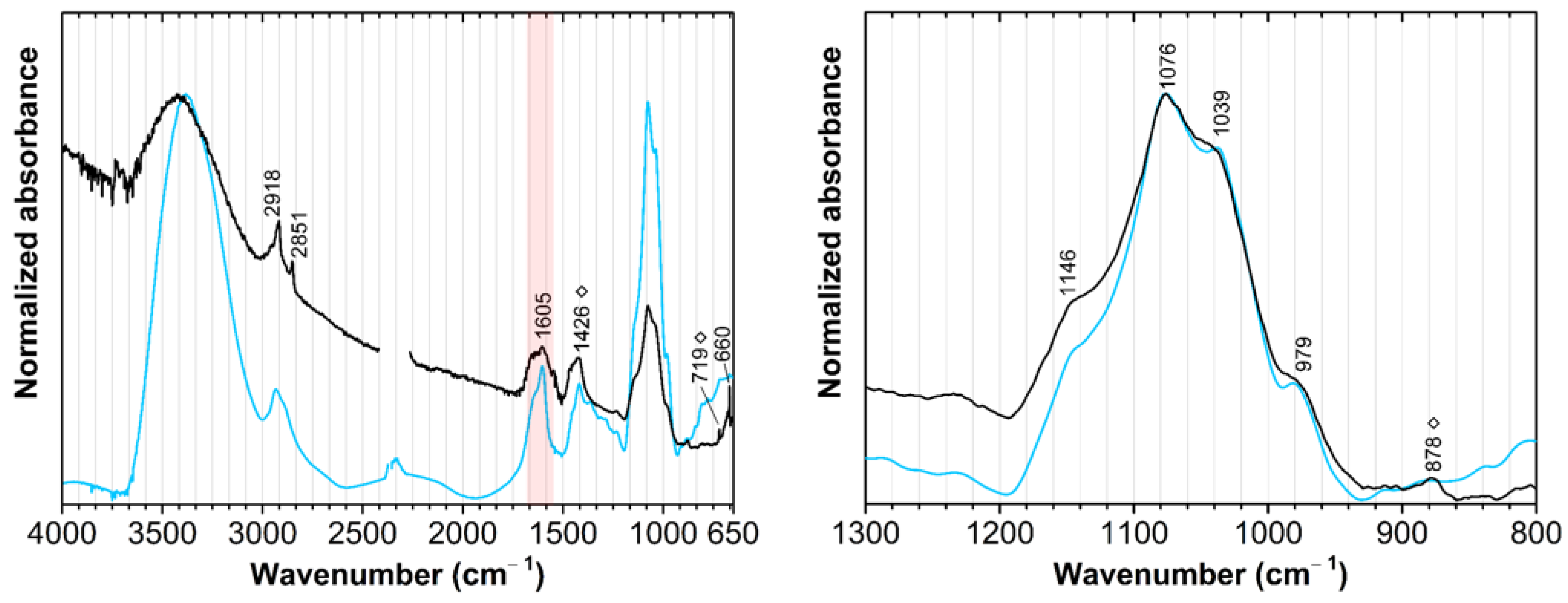 Sustainability 16 05027 g005