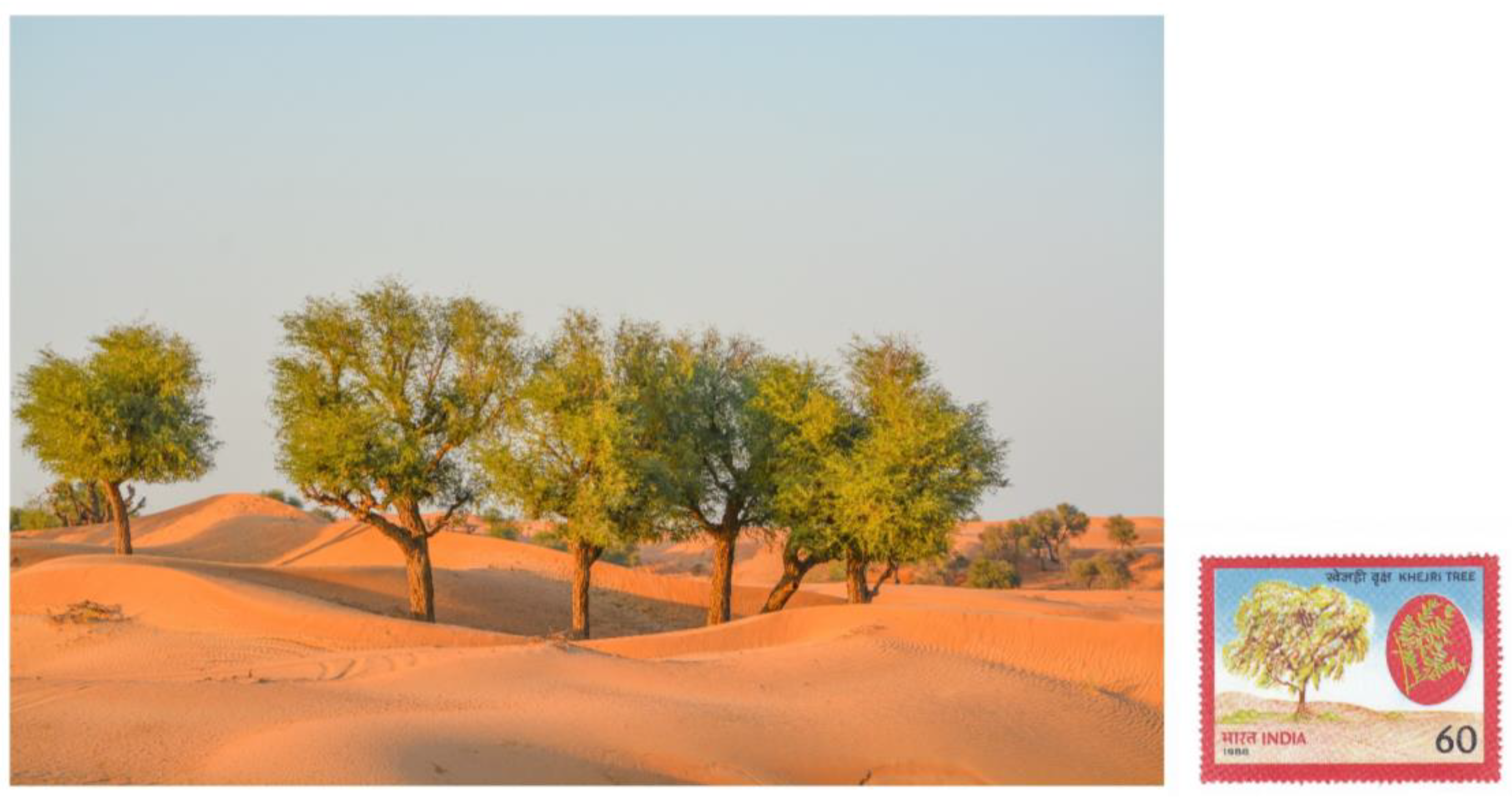 Sustainability 16 05027 g010