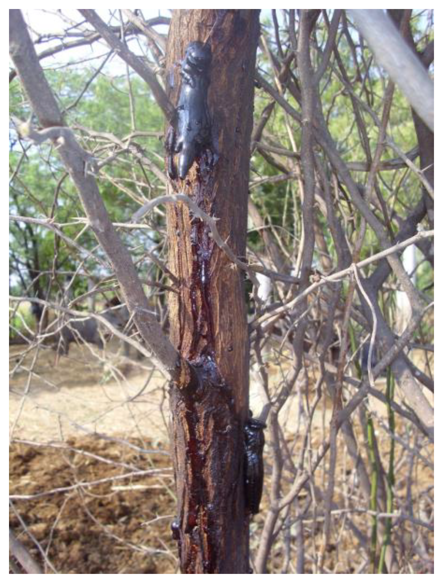 Sustainability 16 05027 g011