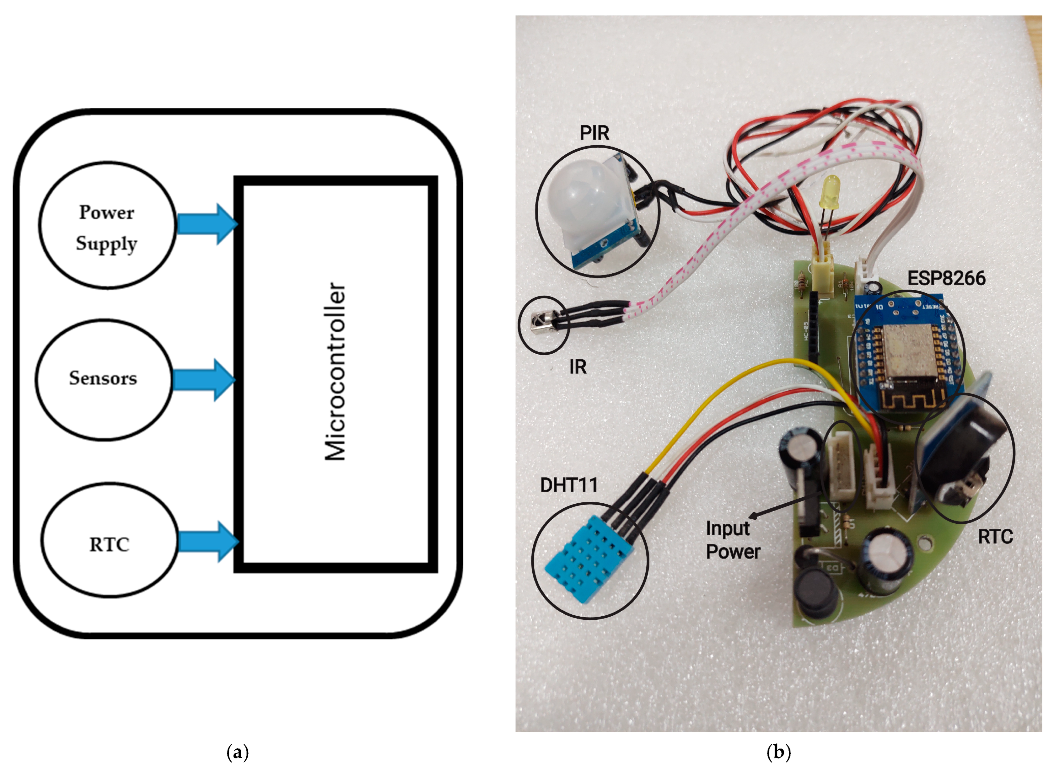 Sustainability 16 05047 g002