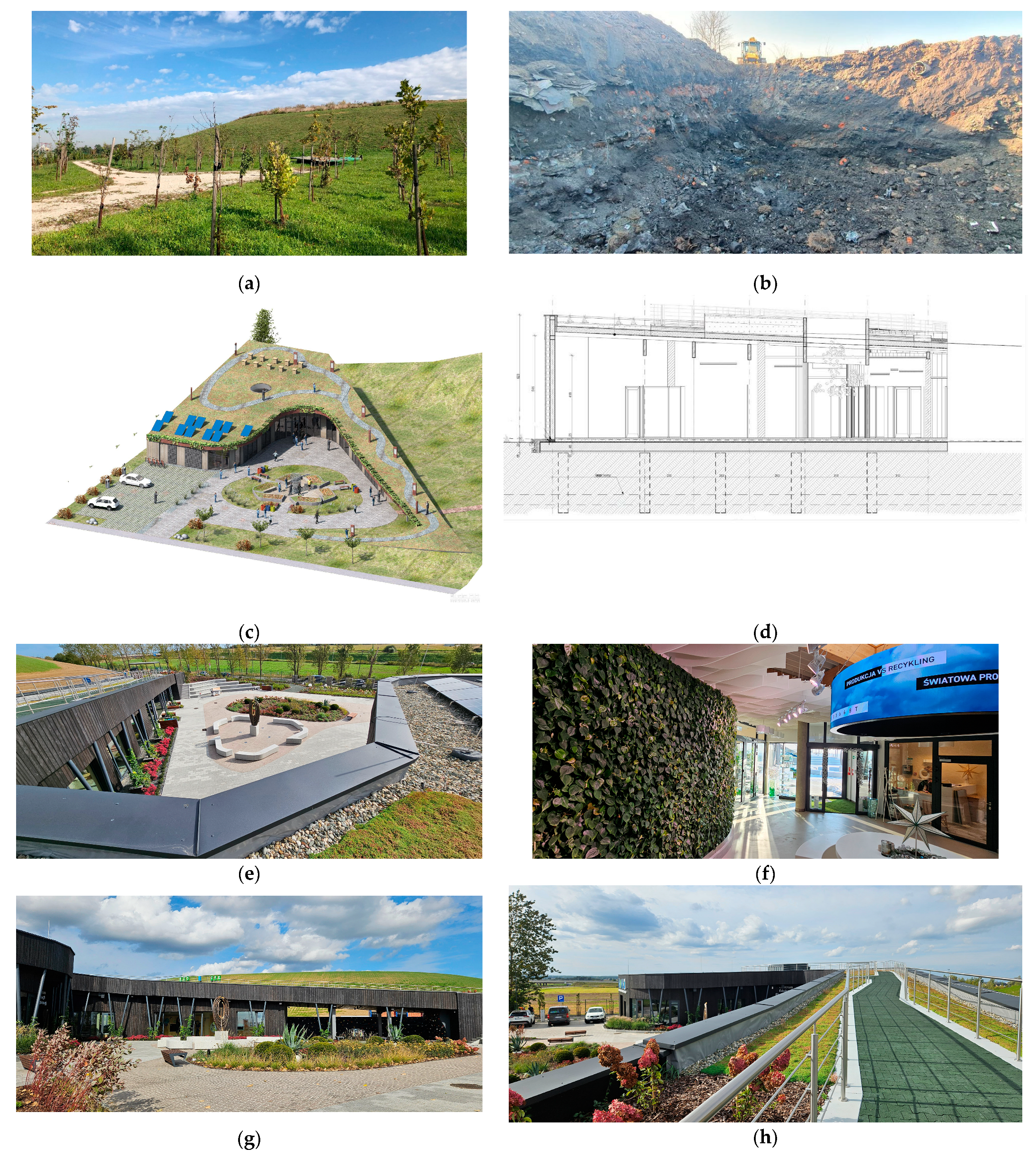 Sustainability 16 05053 g005