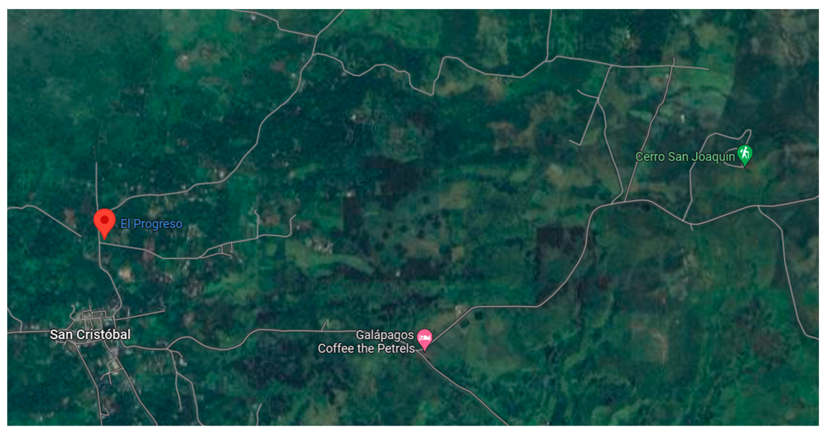 Sustainability 16 05113 g001