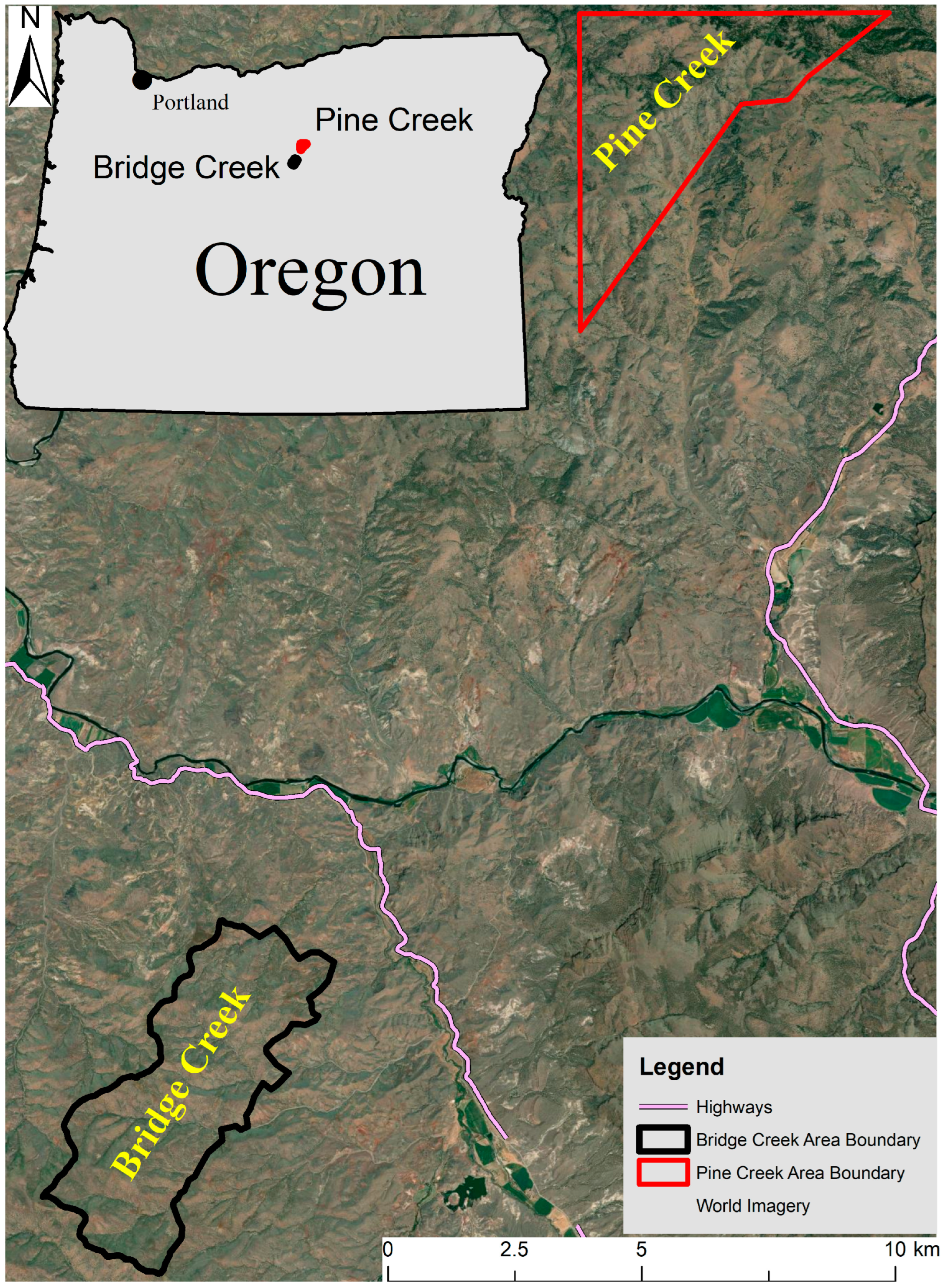 Sustainability 16 05124 g001