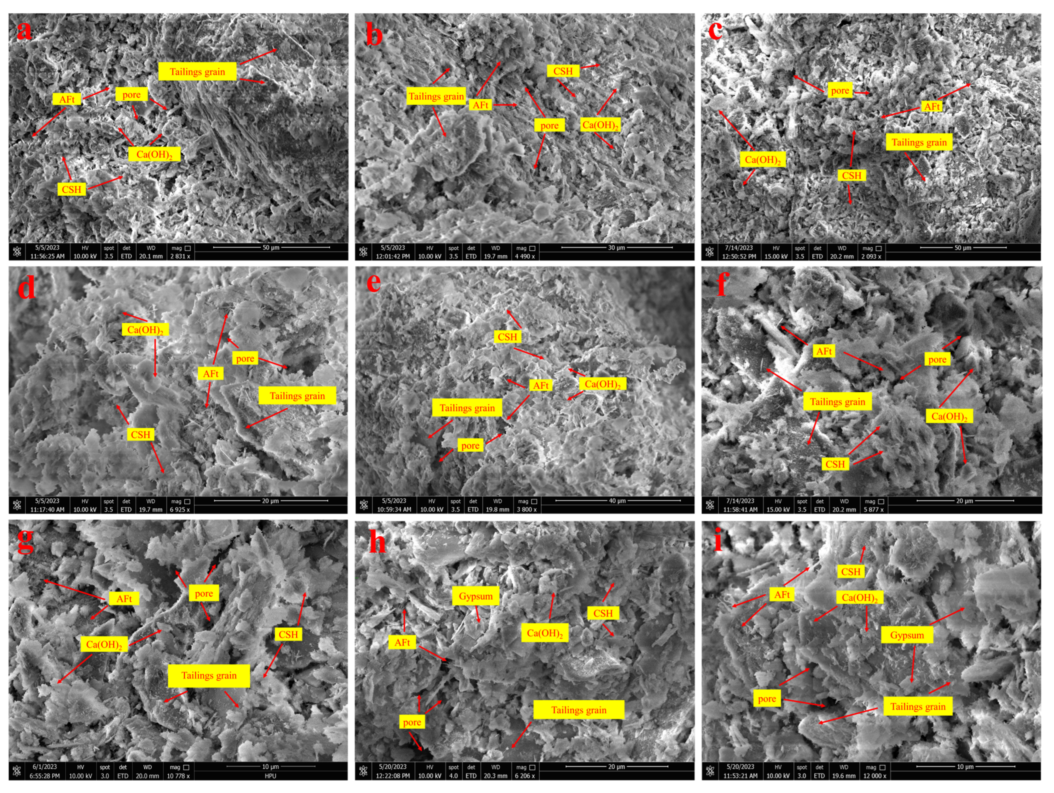 Sustainability 16 05138 g007