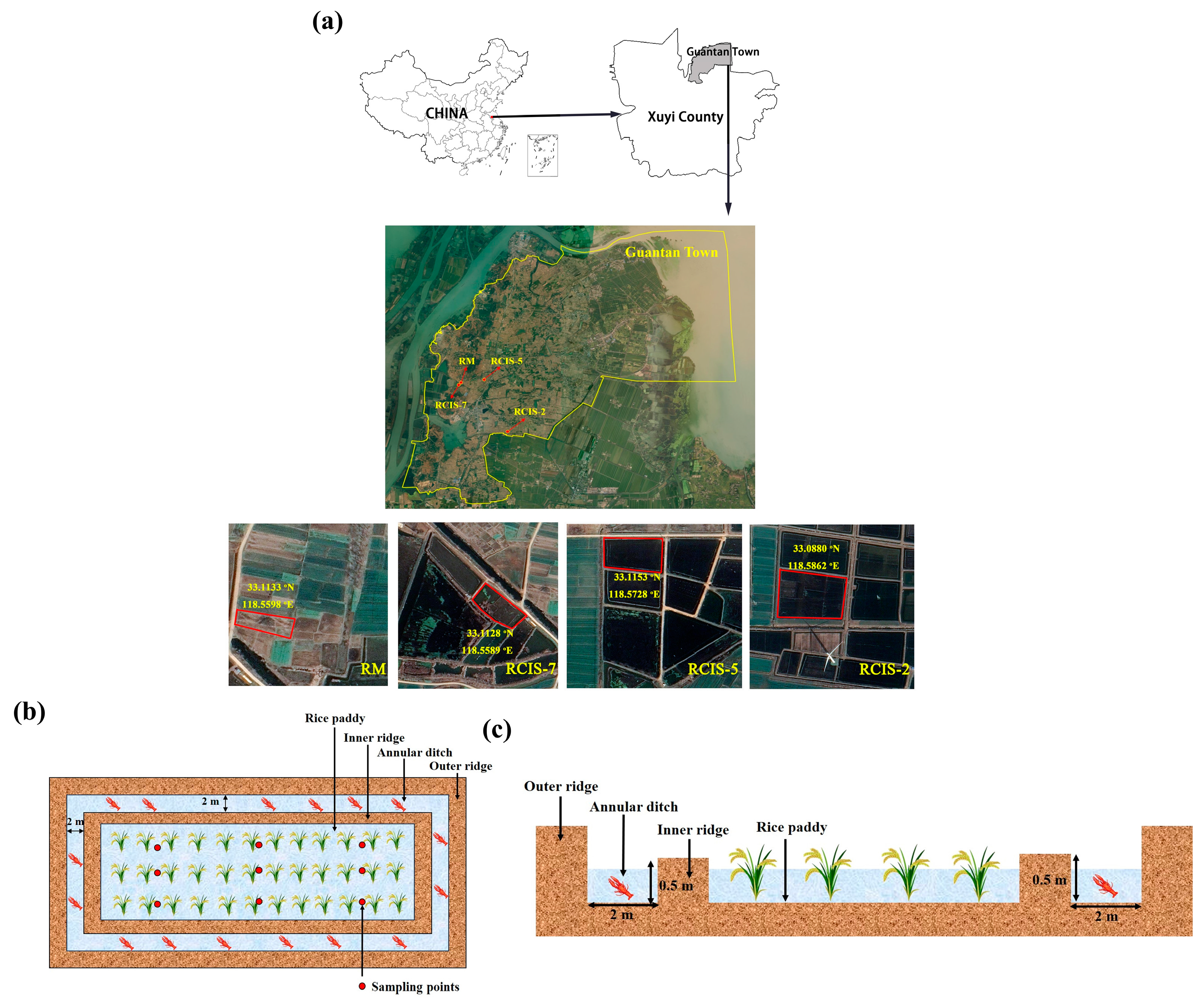 Sustainability 16 05139 g001