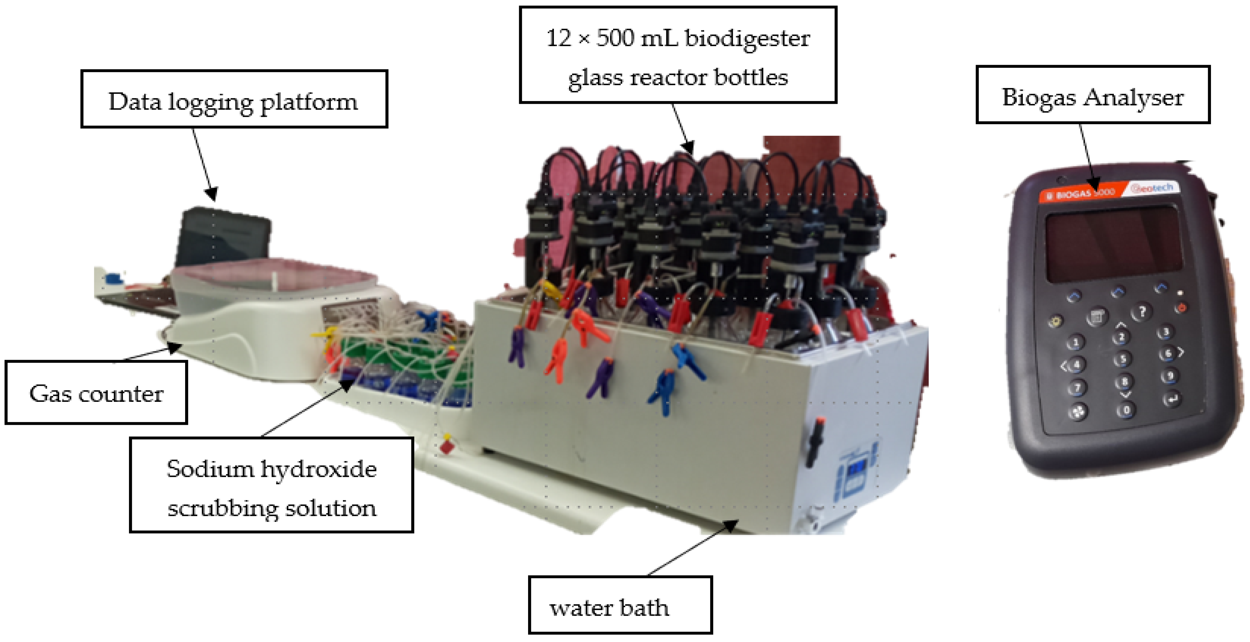 Sustainability 16 05145 g001