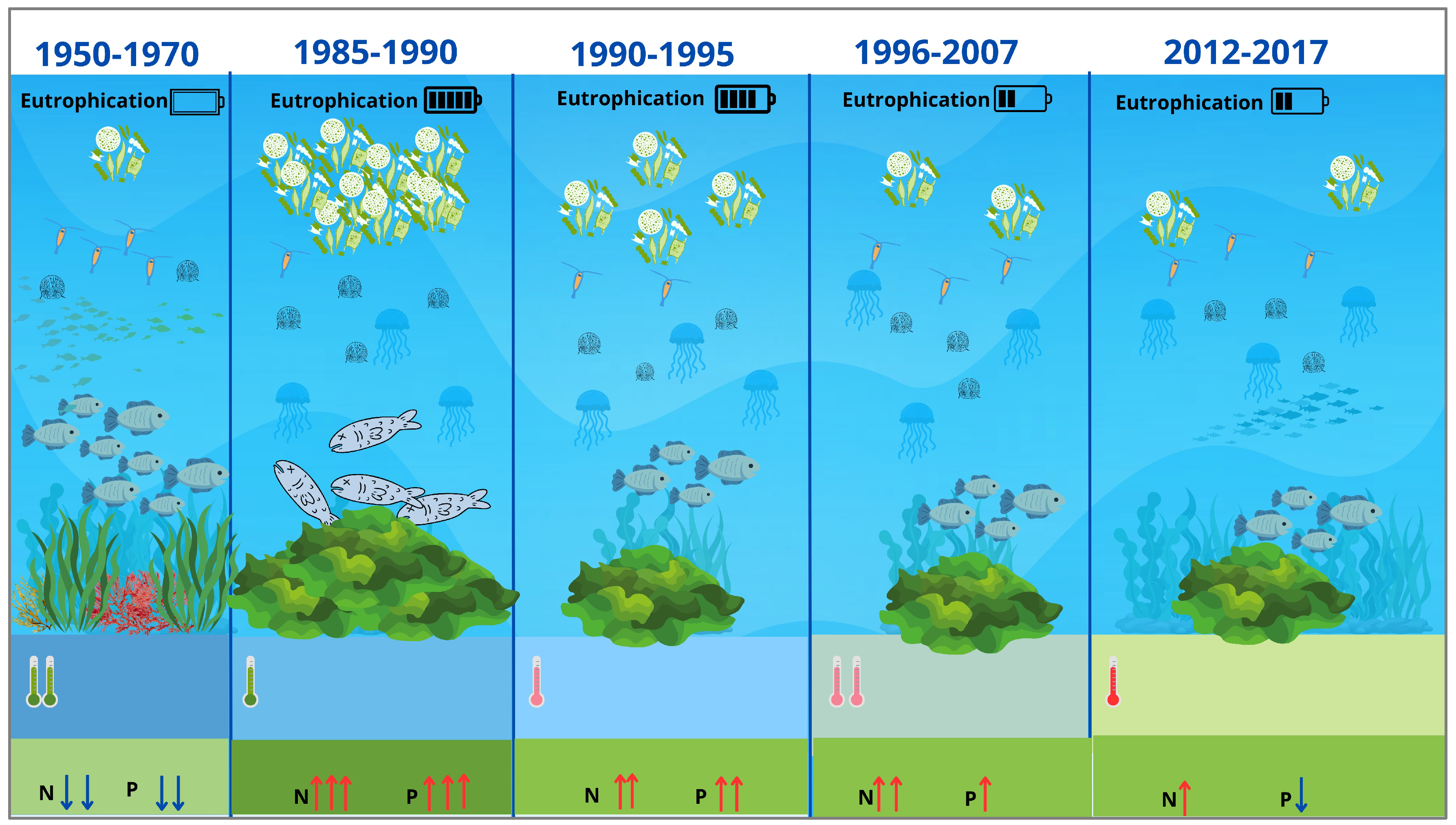 Sustainability 16 05146 g001