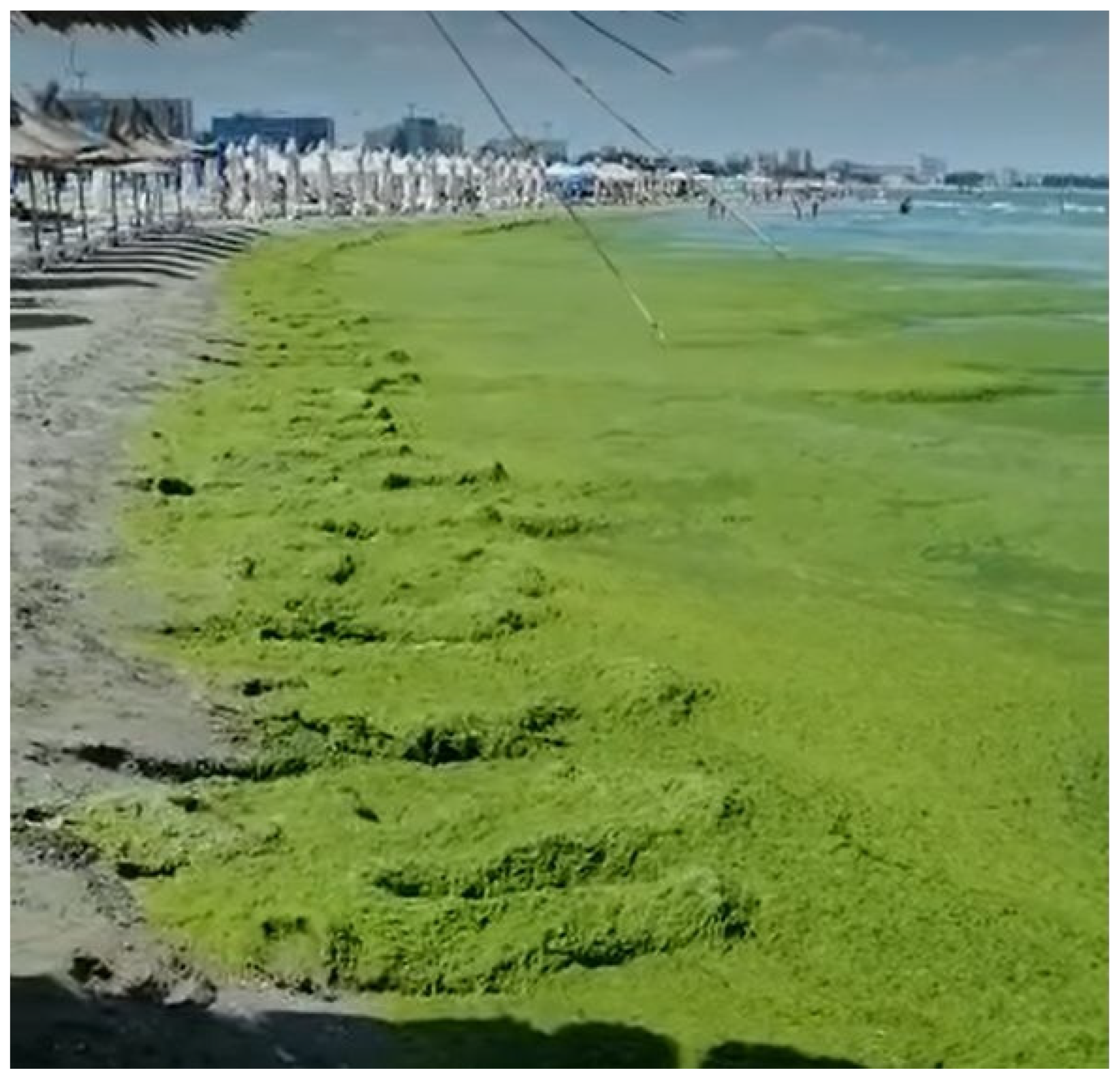 Sustainability 16 05146 g021