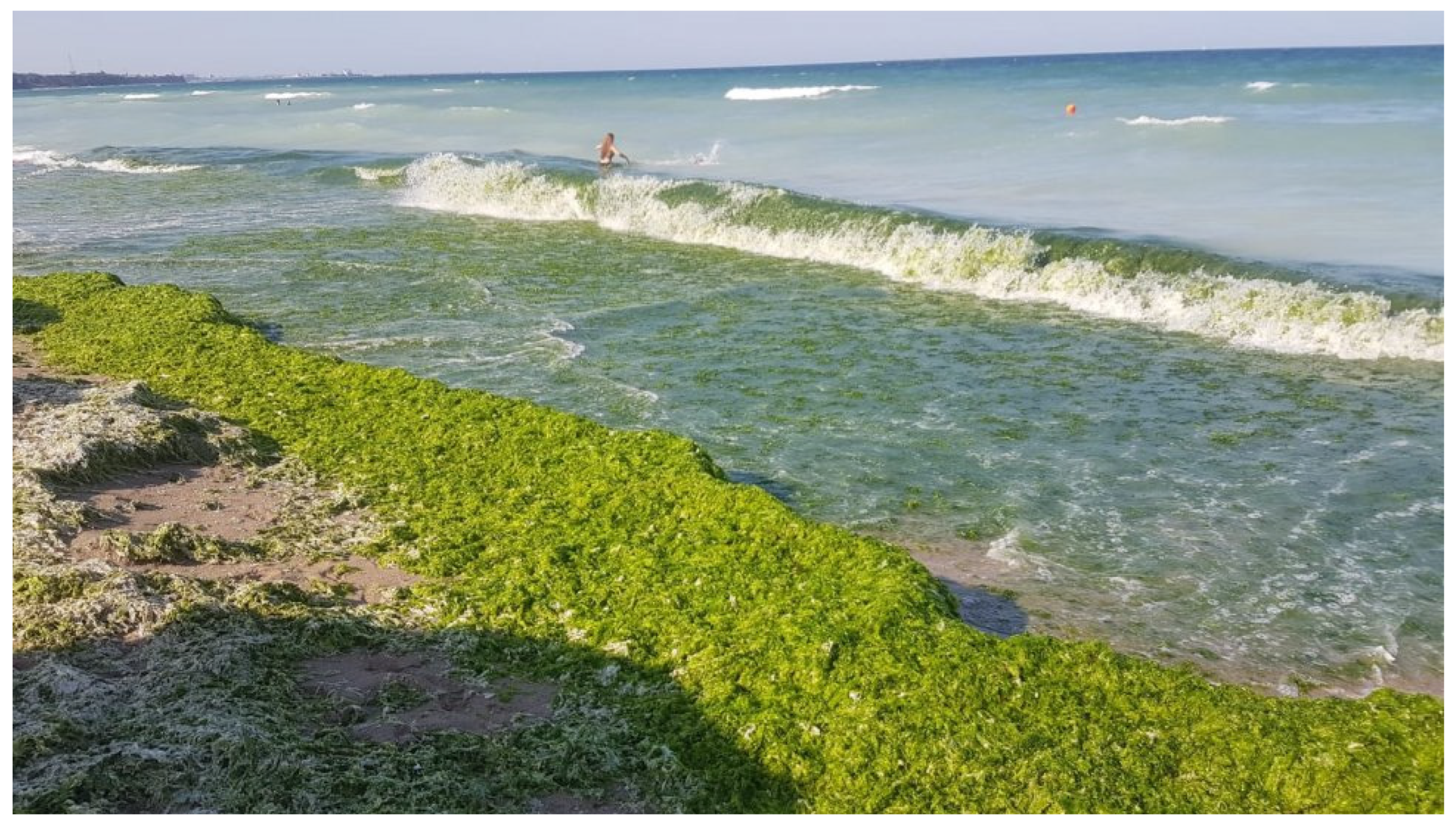 Sustainability 16 05146 g022