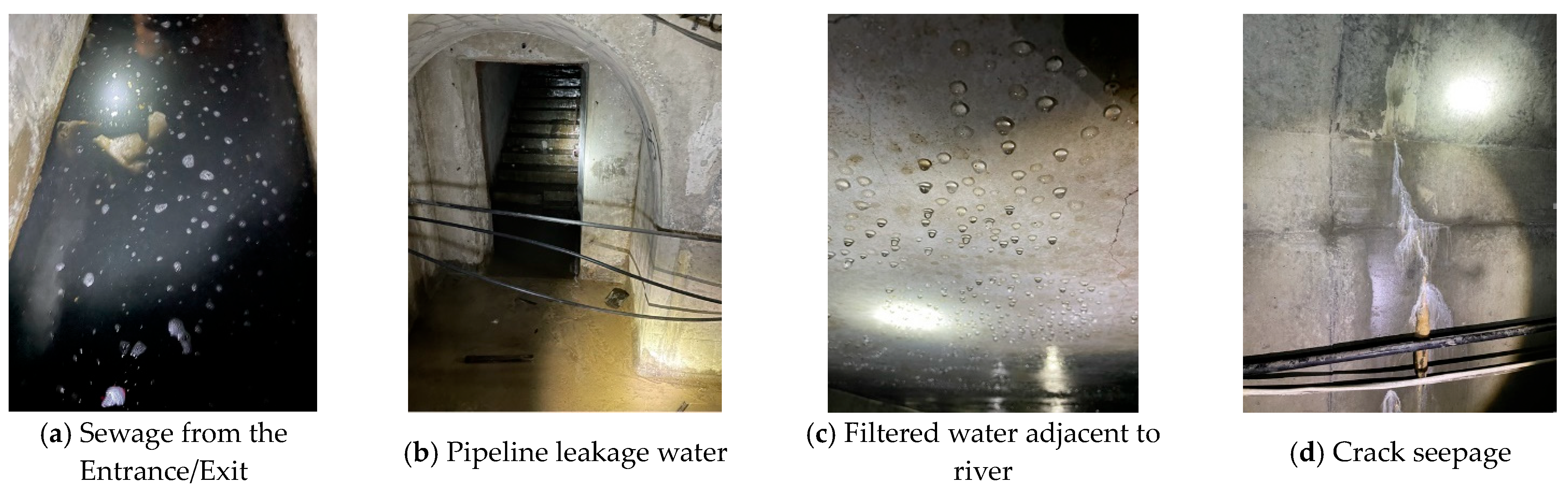 Sustainability 16 05186 g003