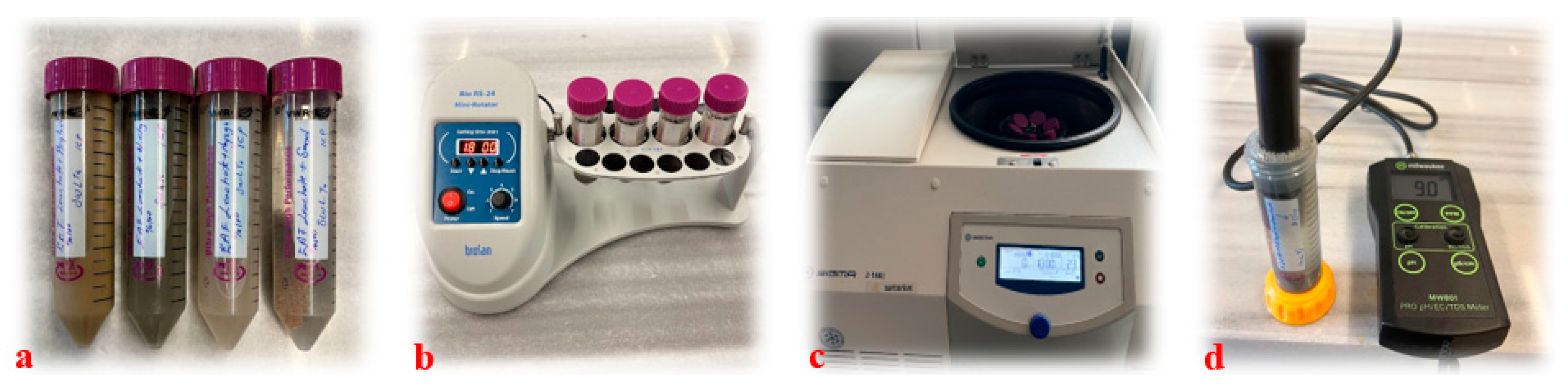 Sustainability 16 05244 g010