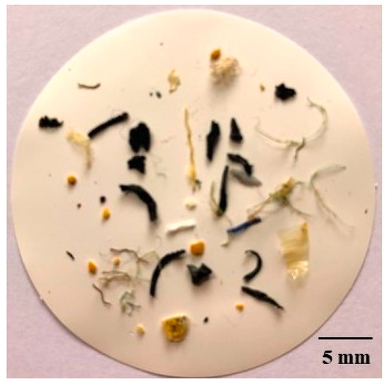 Determination of Selected Organic Contaminants in the Port