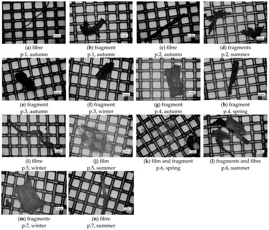 Determination of Selected Organic Contaminants in the Port
