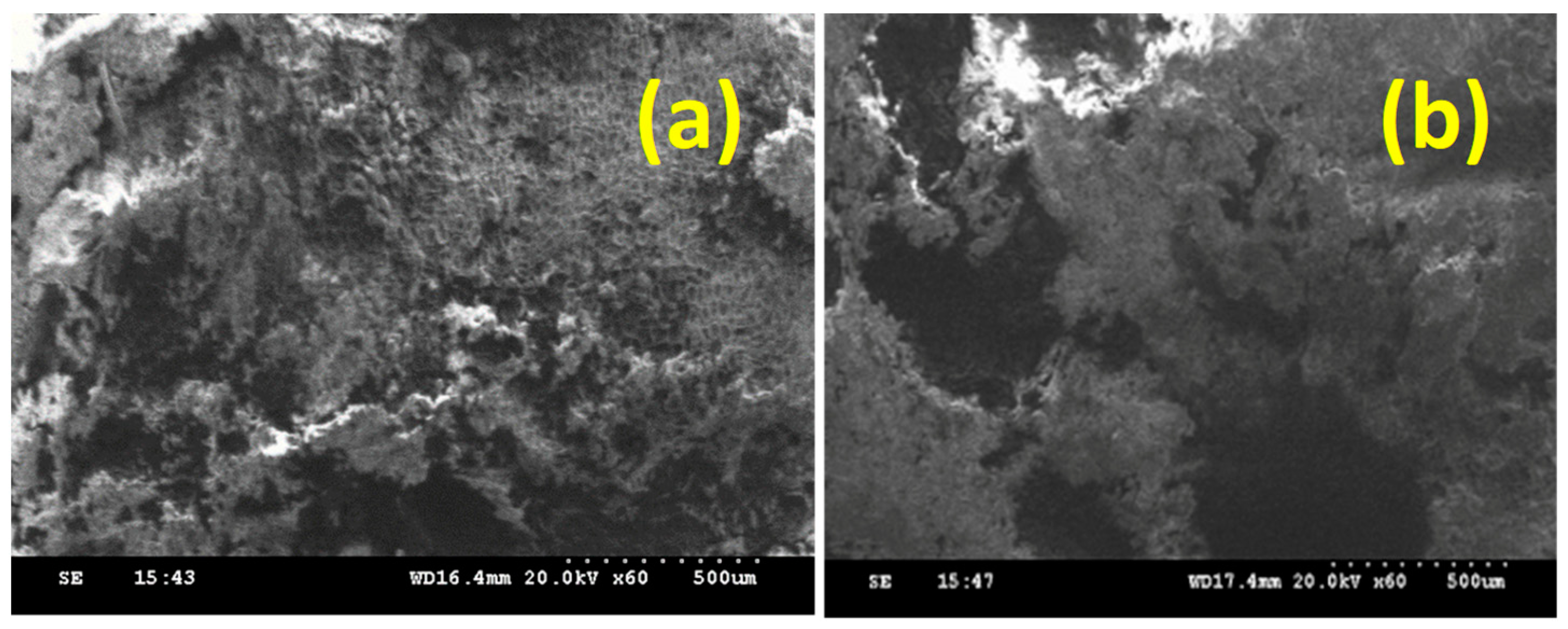 Sustainability 16 05316 g013