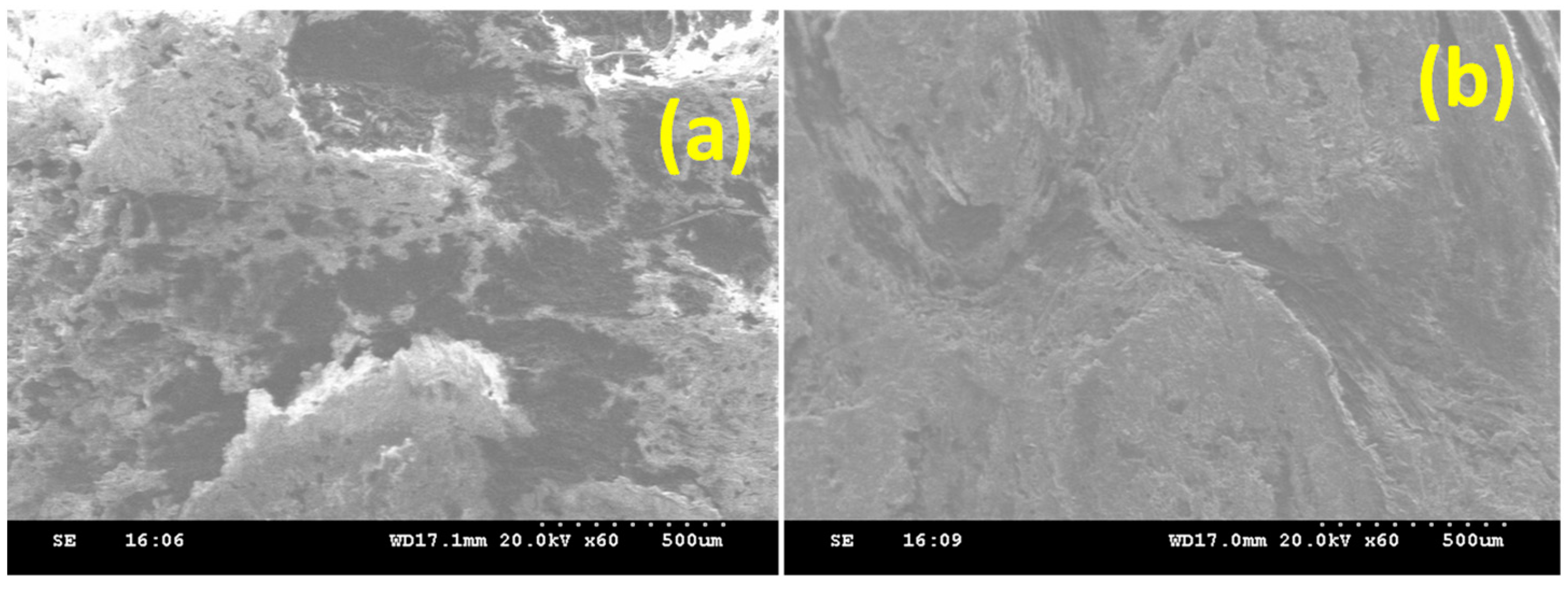 Sustainability 16 05316 g014