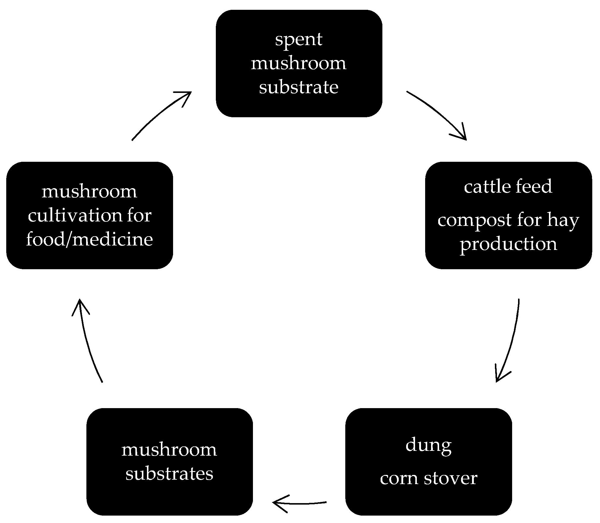 Sustainability 16 05320 g001