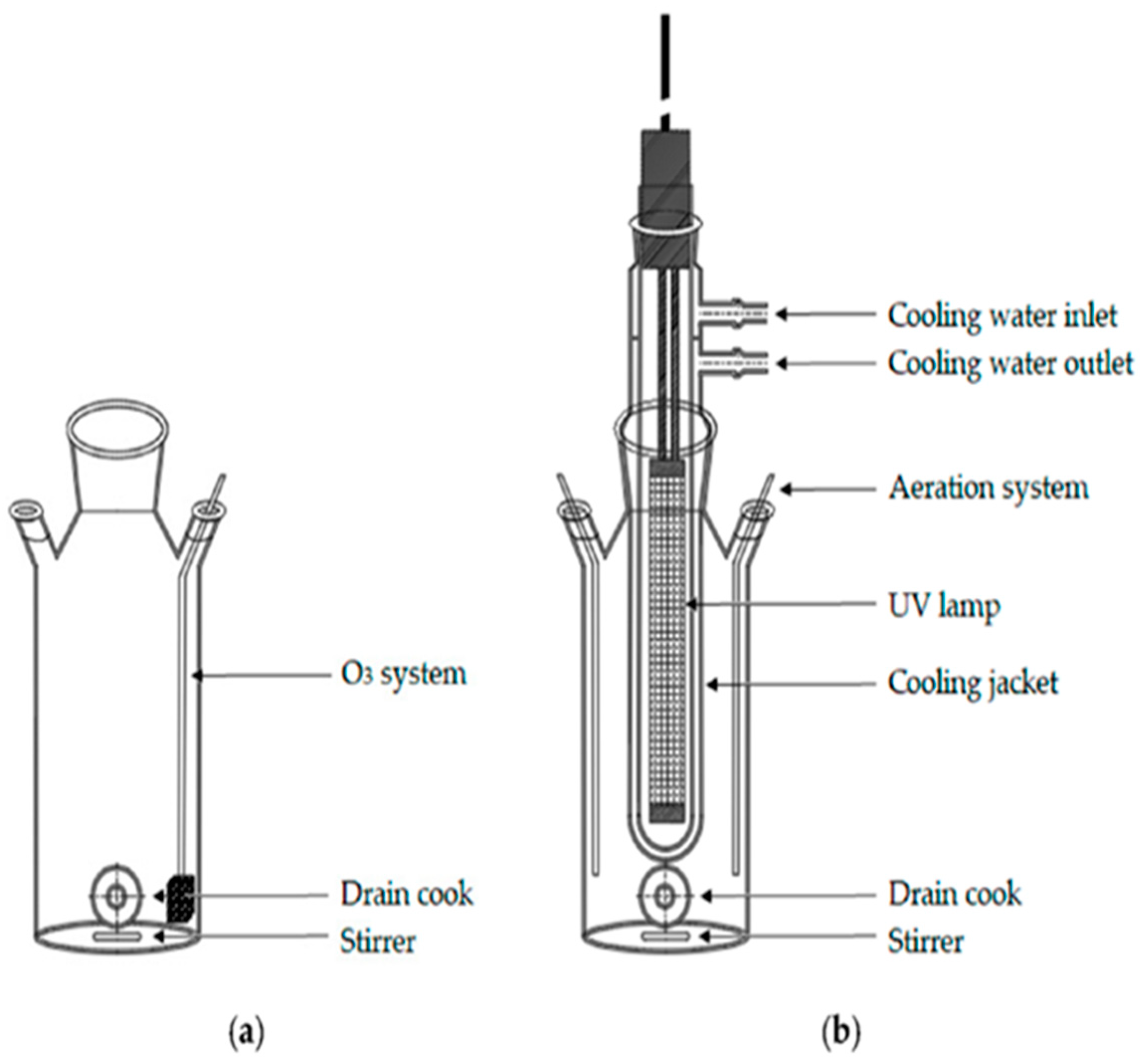 Sustainability 16 05352 g001