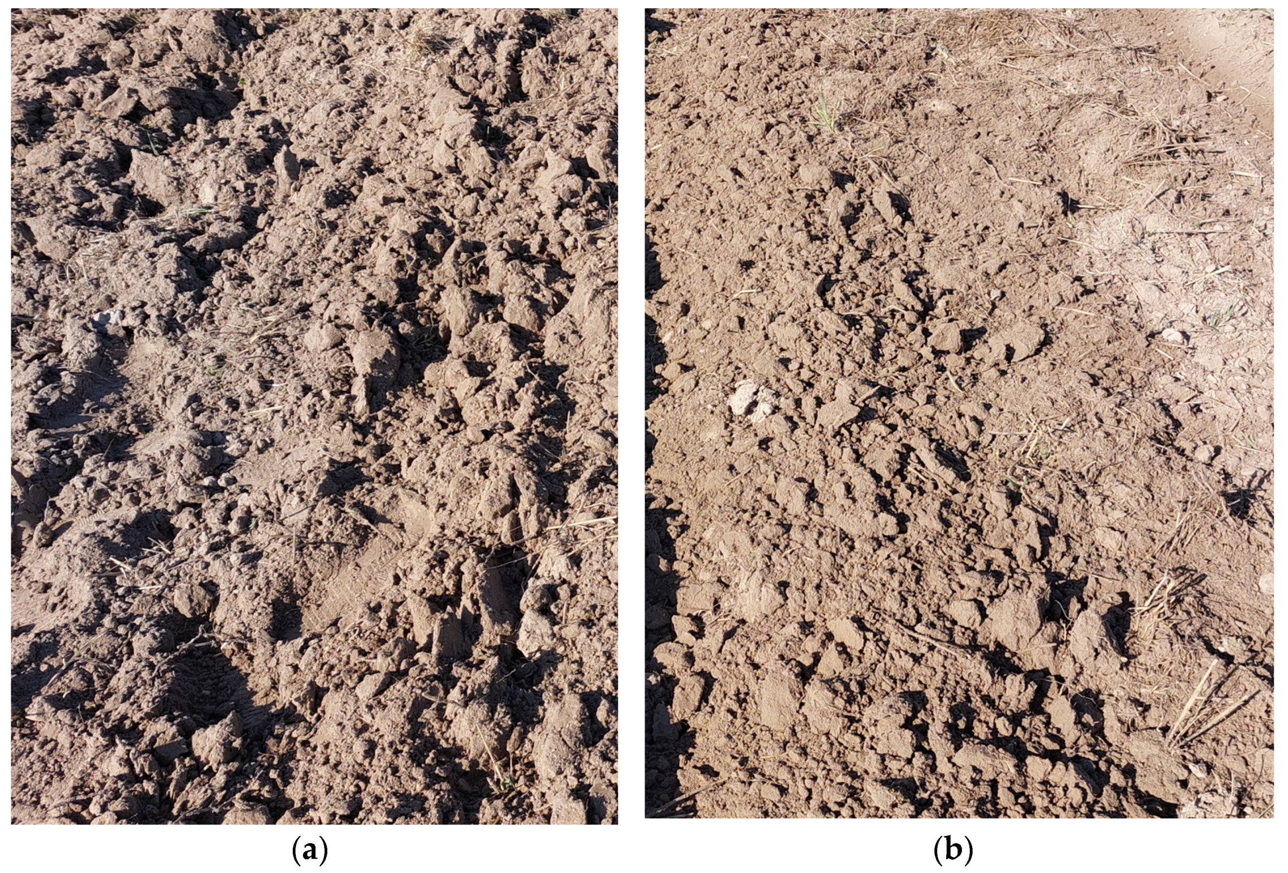 Sustainability 16 05355 g008 Sustainability 16 05355 g008