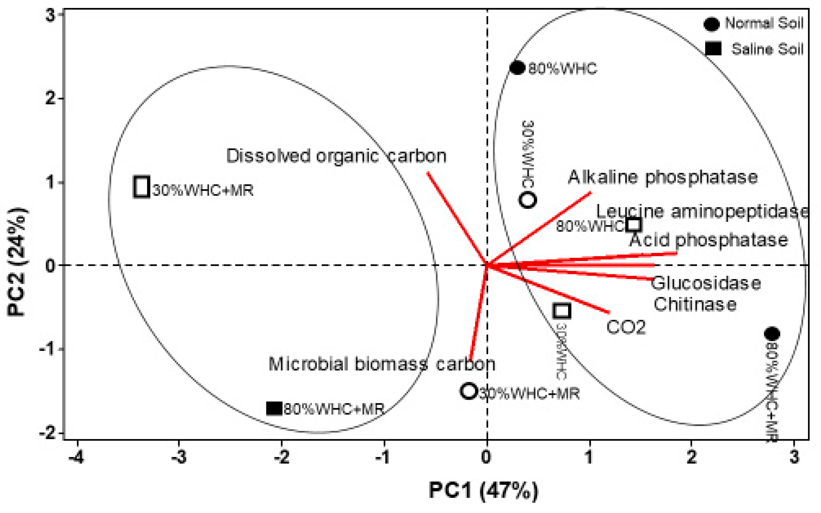 Sustainability 16 05368 g006