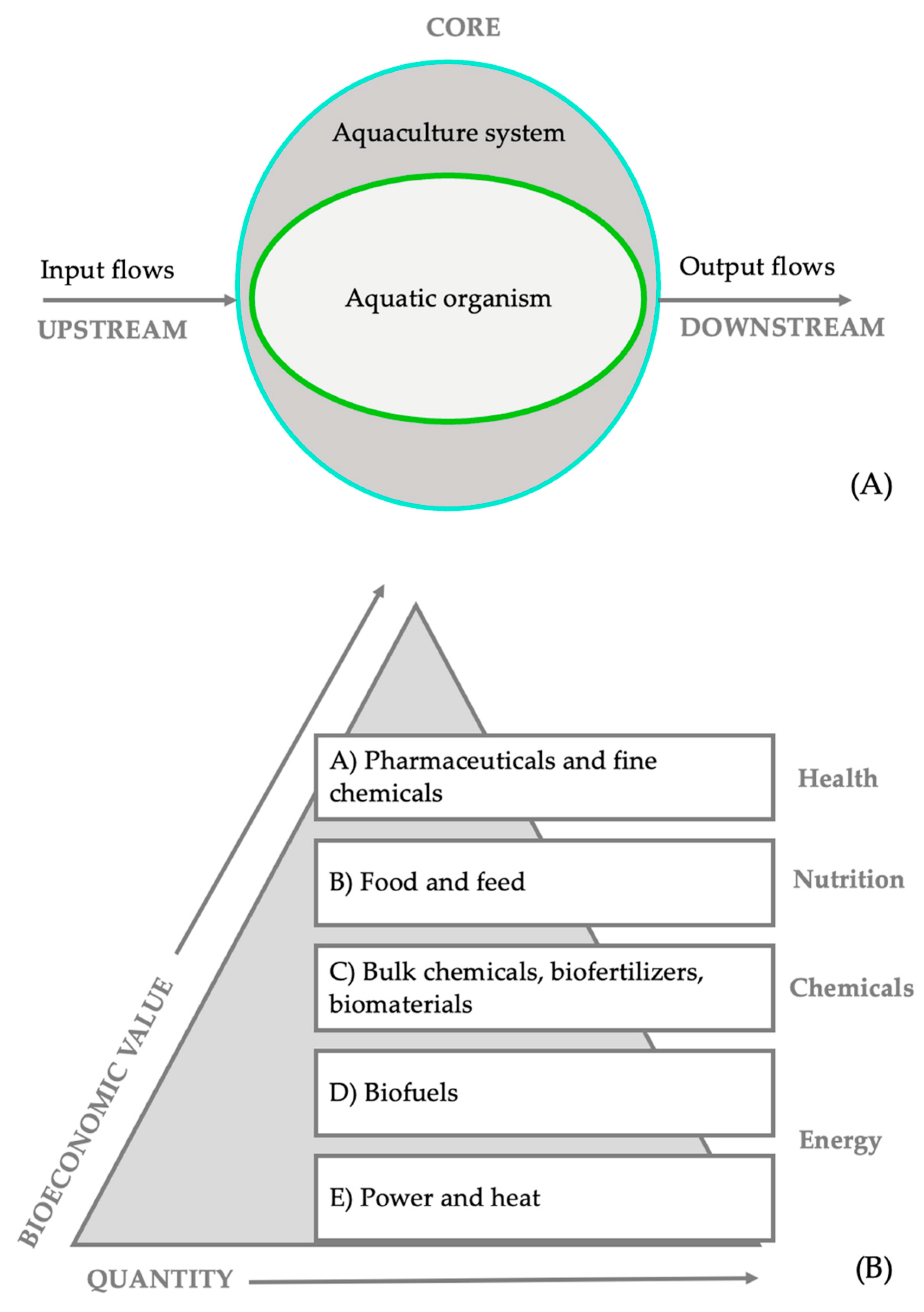Sustainability 16 05405 g003