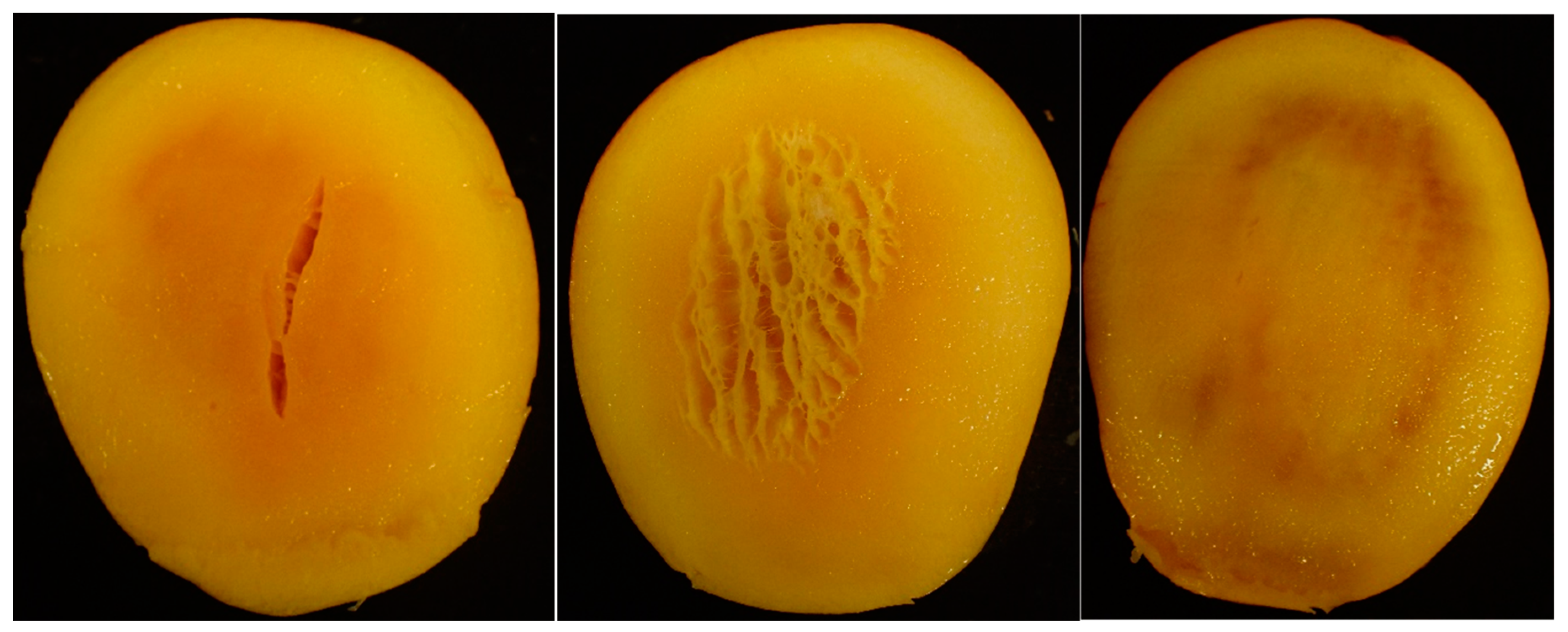 Sustainability 16 05472 g004