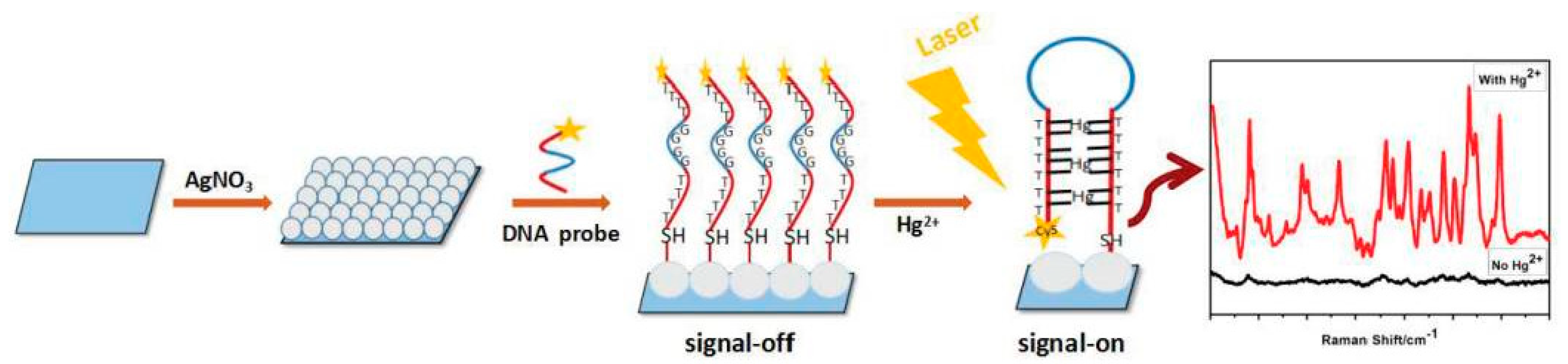 Sustainability 16 05474 g005