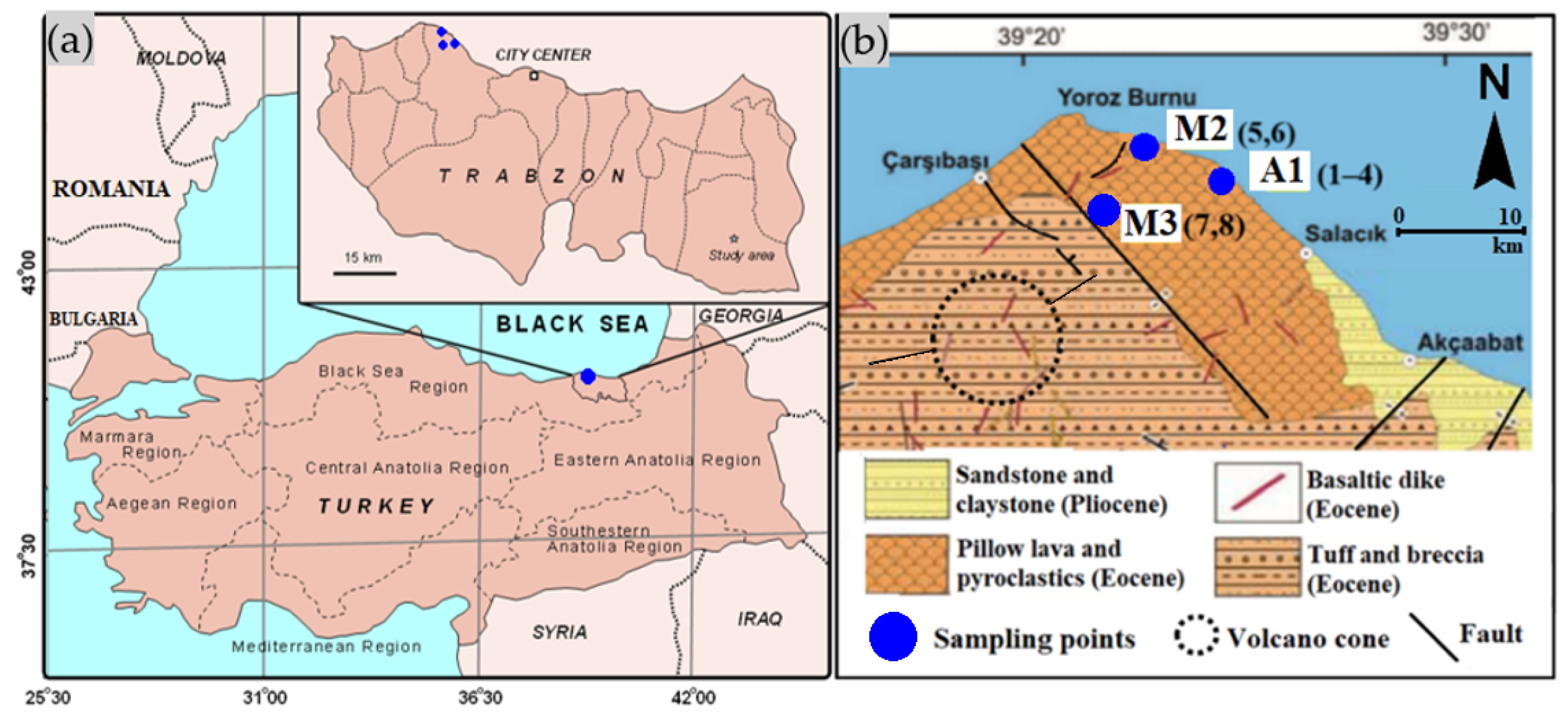 Sustainability 16 05490 g001