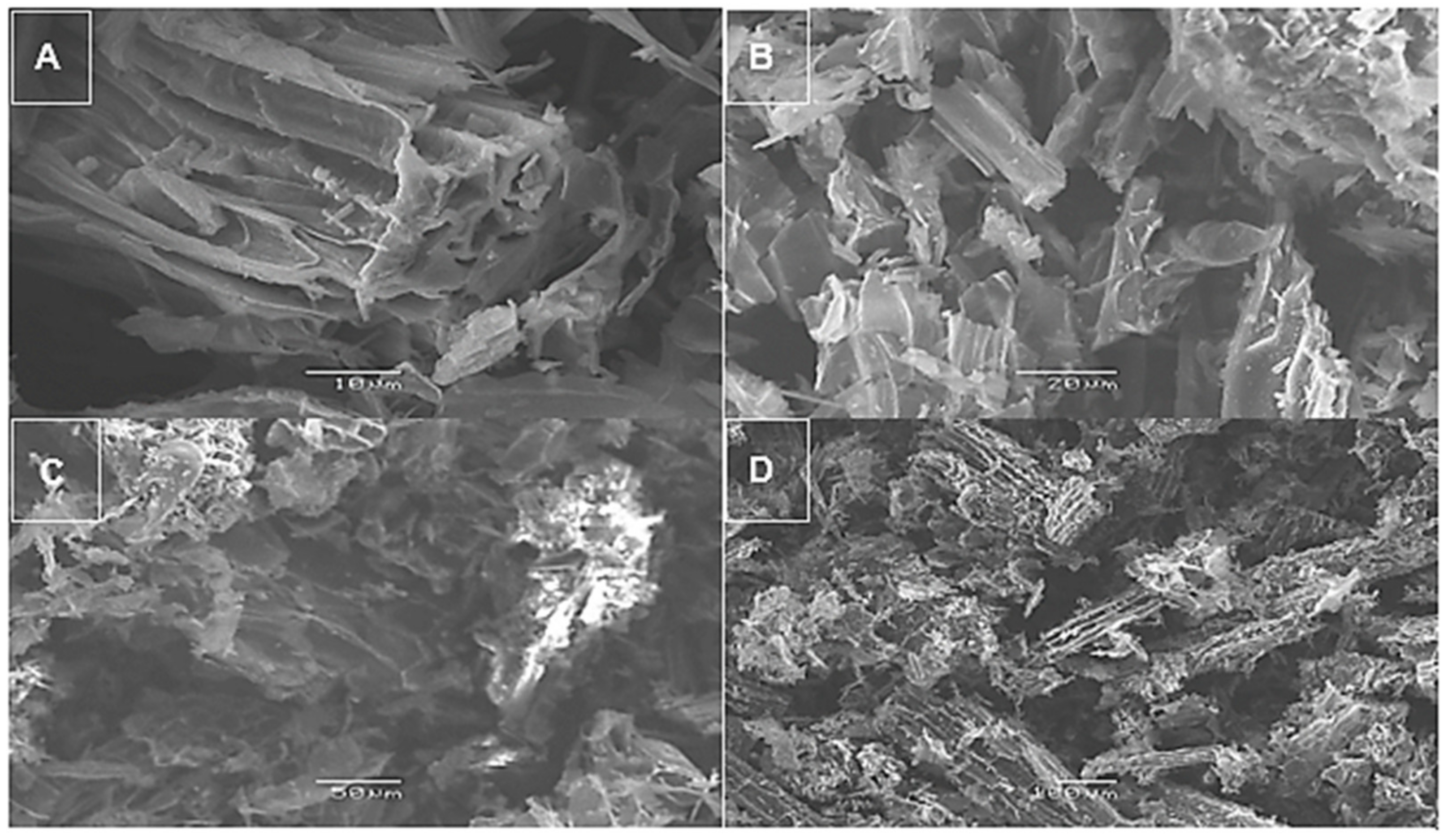 Sustainability 16 05537 g002