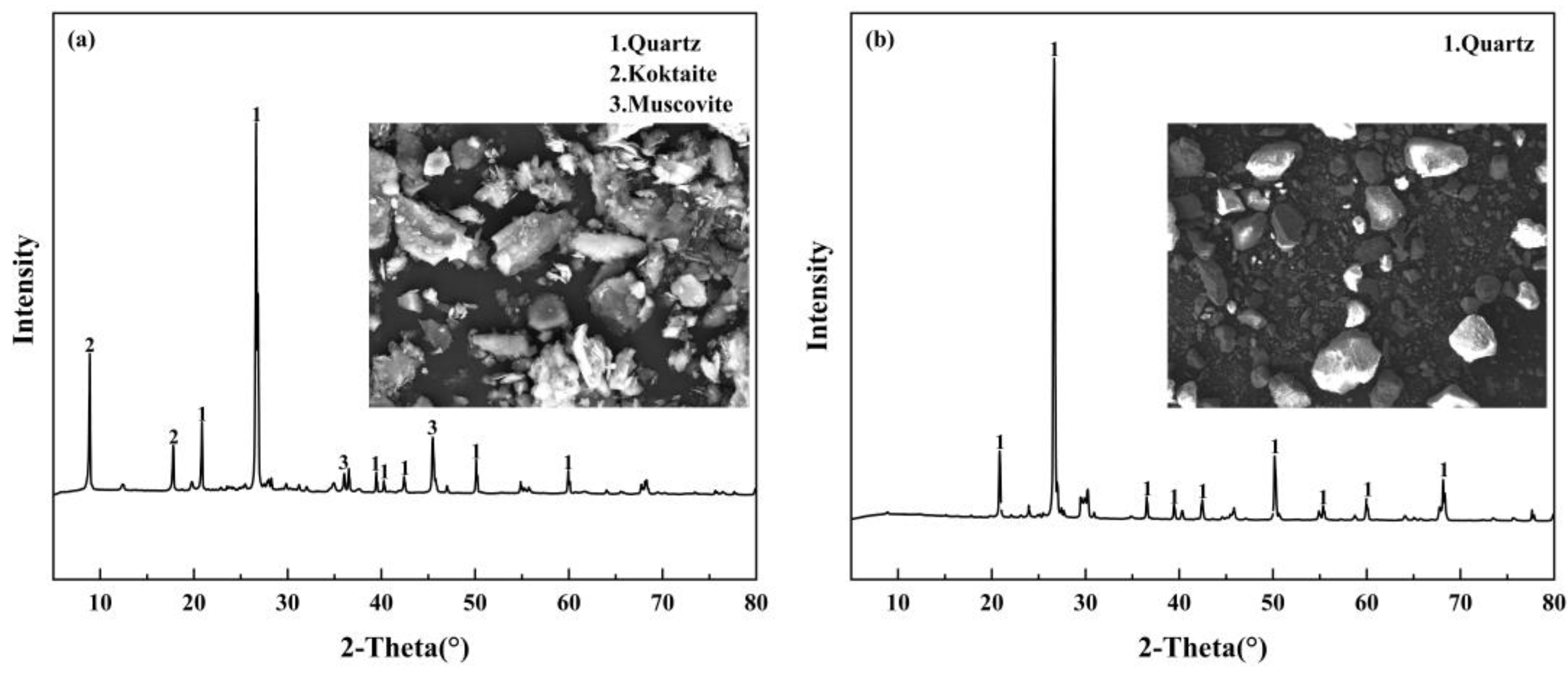 Sustainability 16 05545 g001