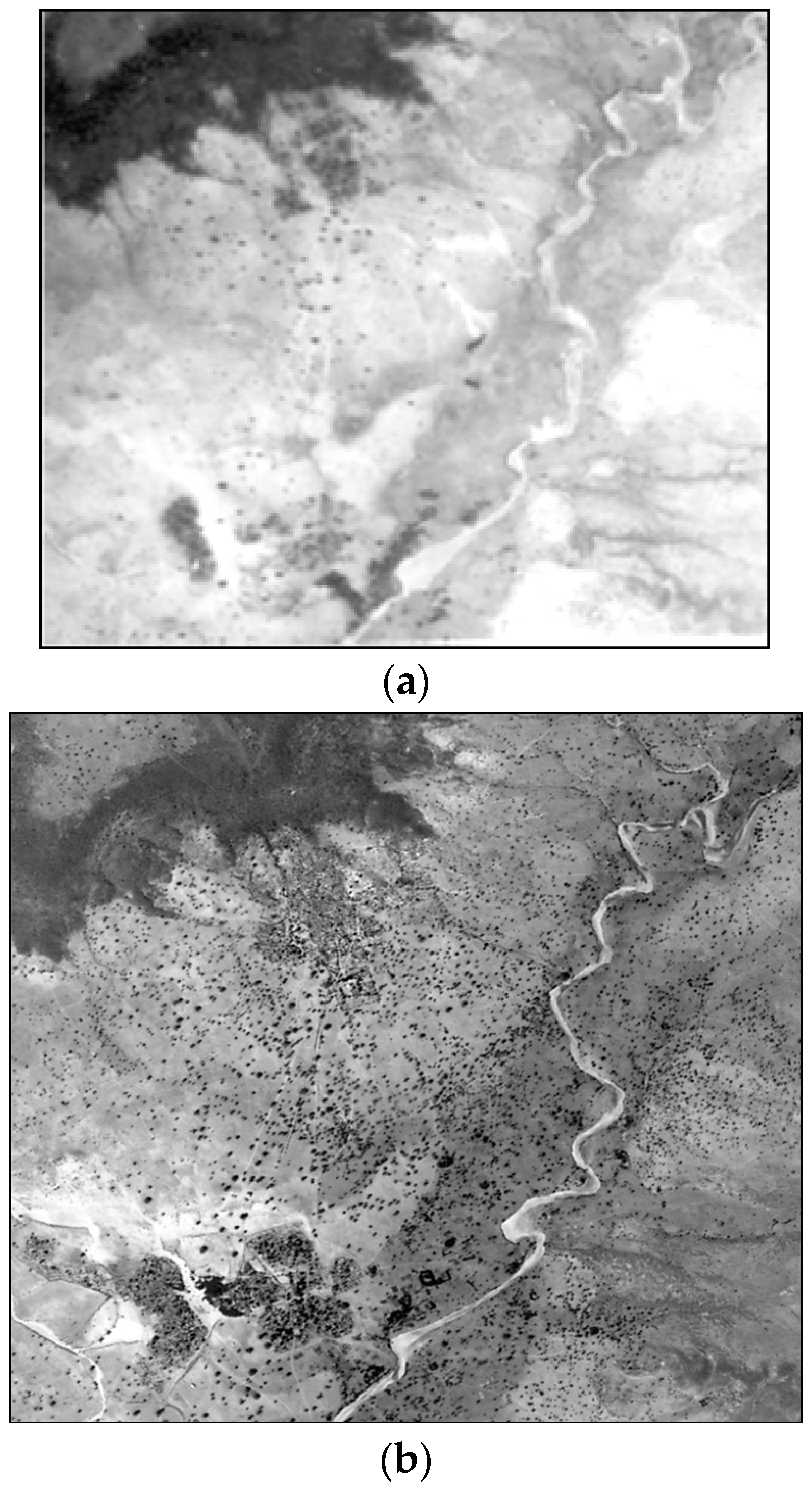 Sustainability 16 05555 g005