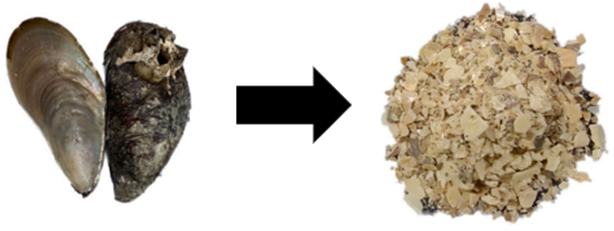 Sustainability 16 05577 g001