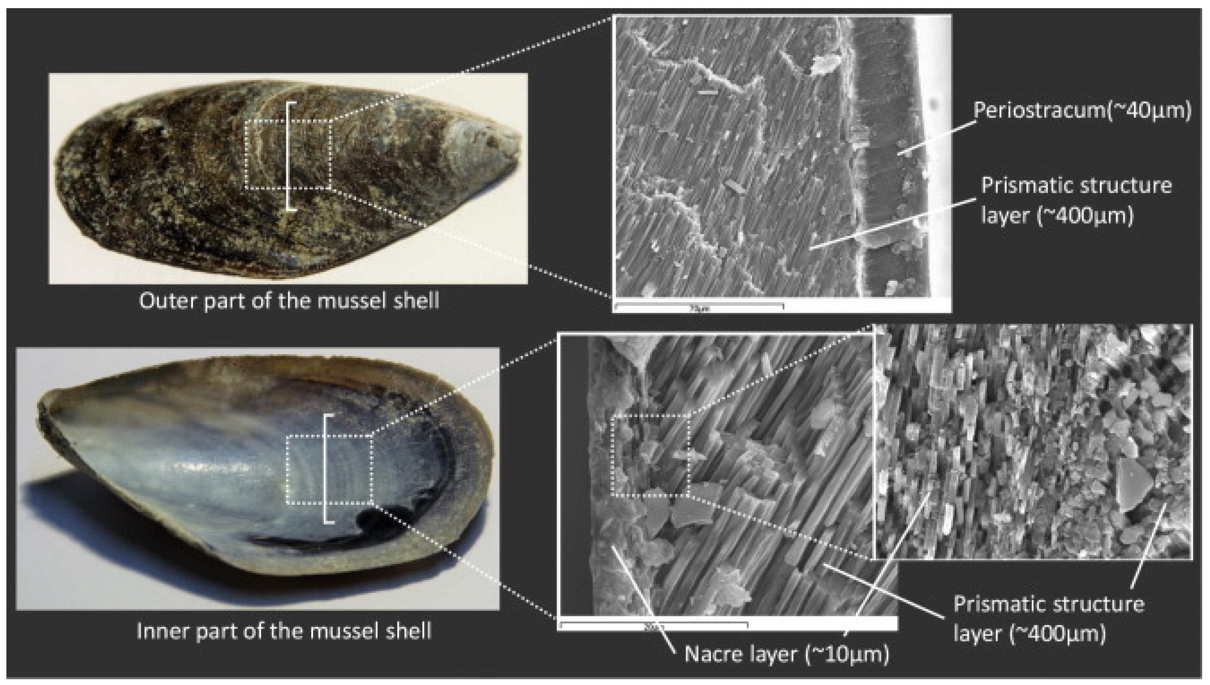 Sustainability 16 05577 g005
