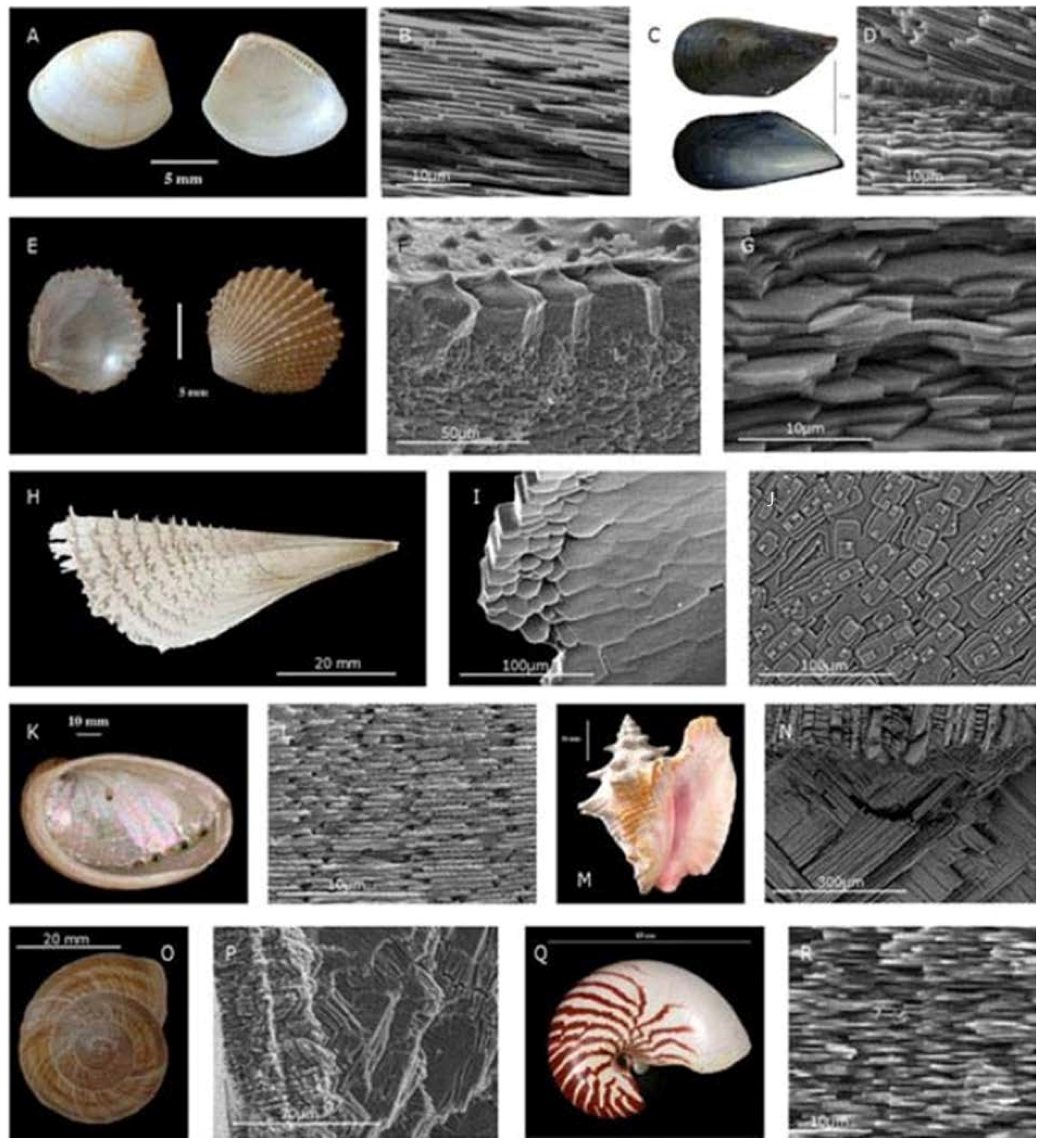 Sustainability 16 05577 g011