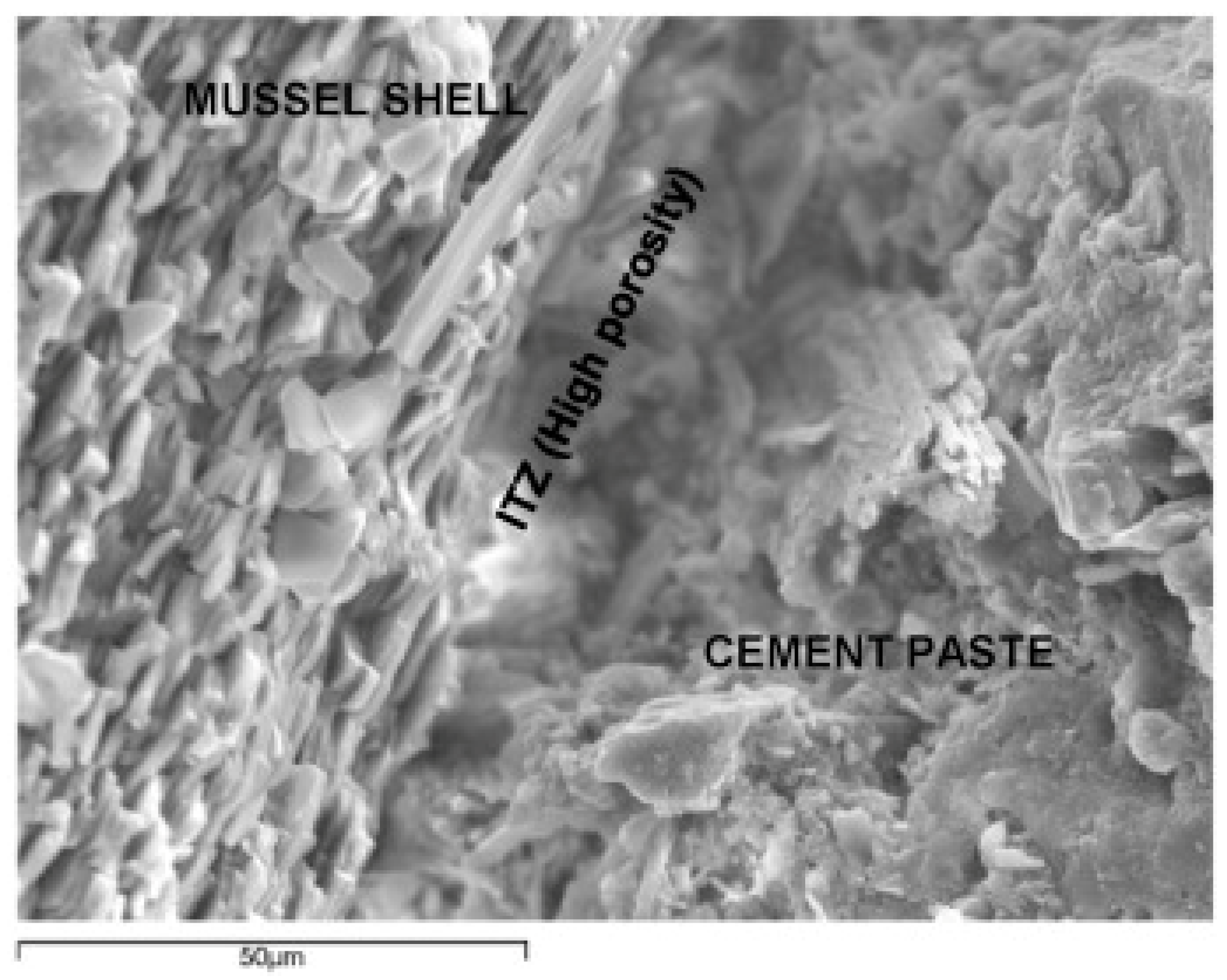 Sustainability 16 05577 g014