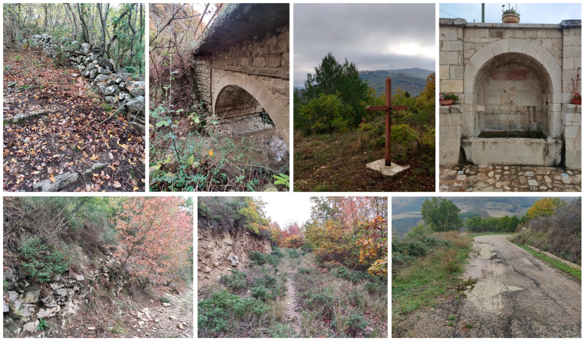 Sustainability 16 05588 g006