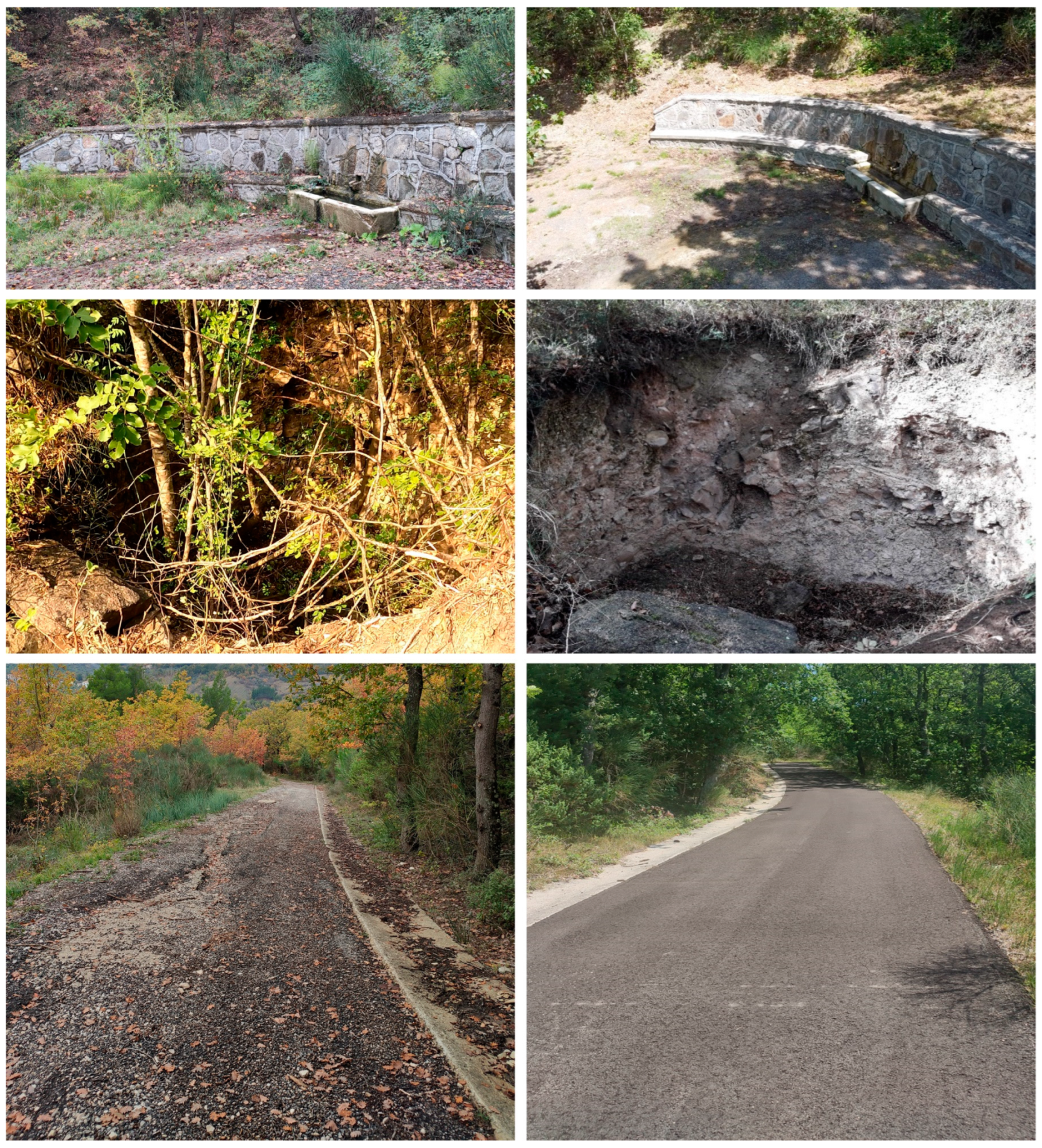 Sustainability 16 05588 g010