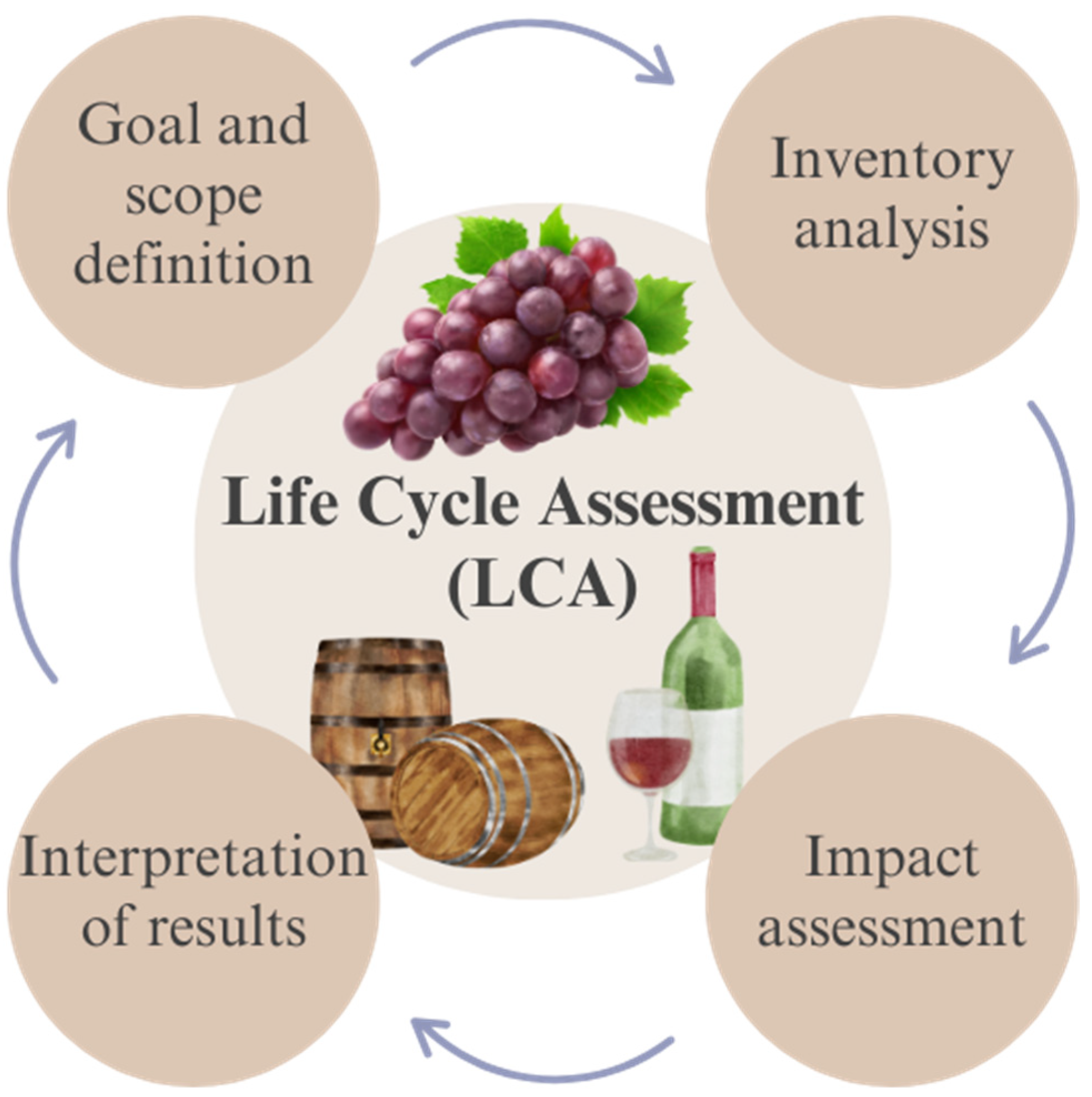 Sustainability 16 05613 g002