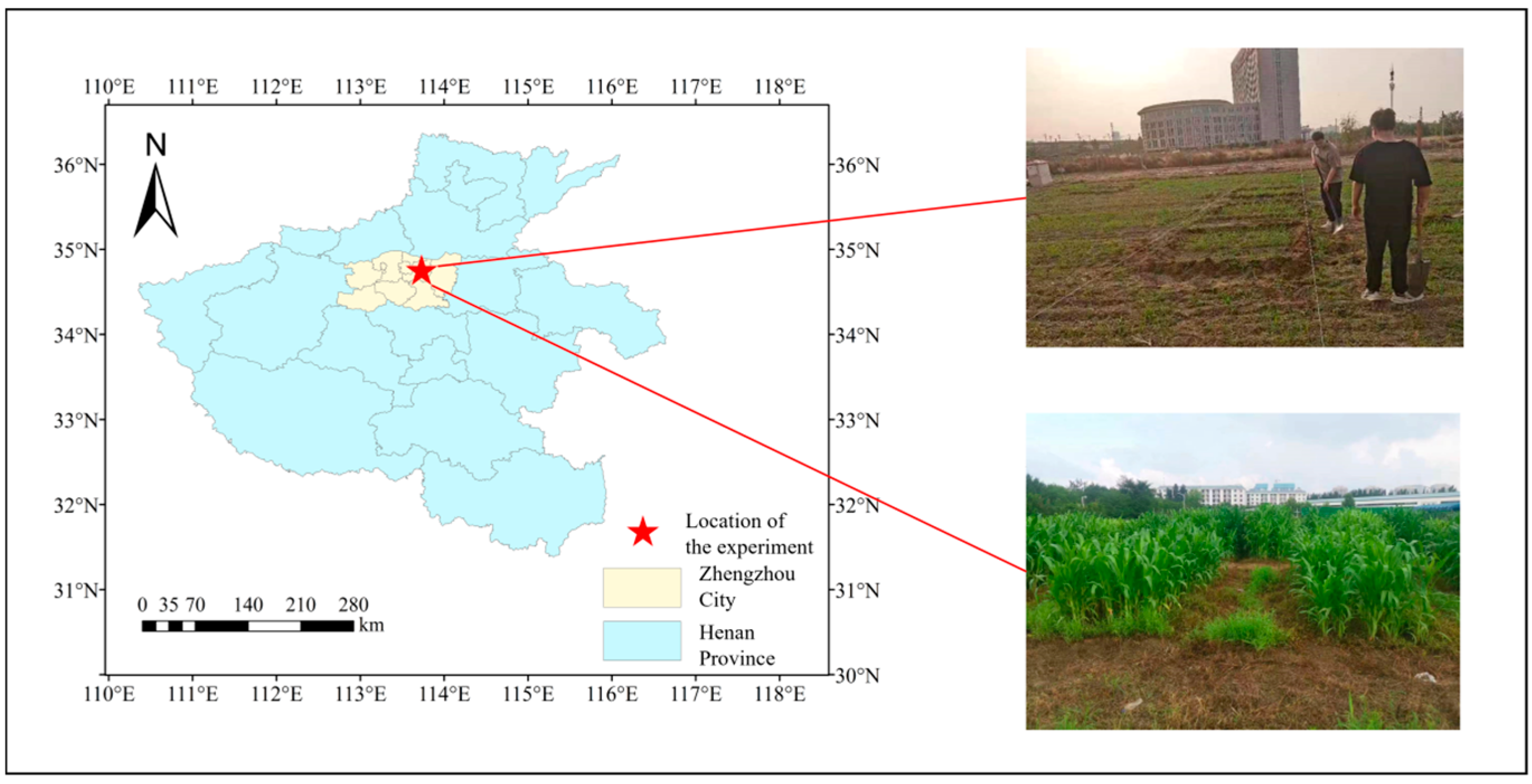 Sustainability 16 05615 g001