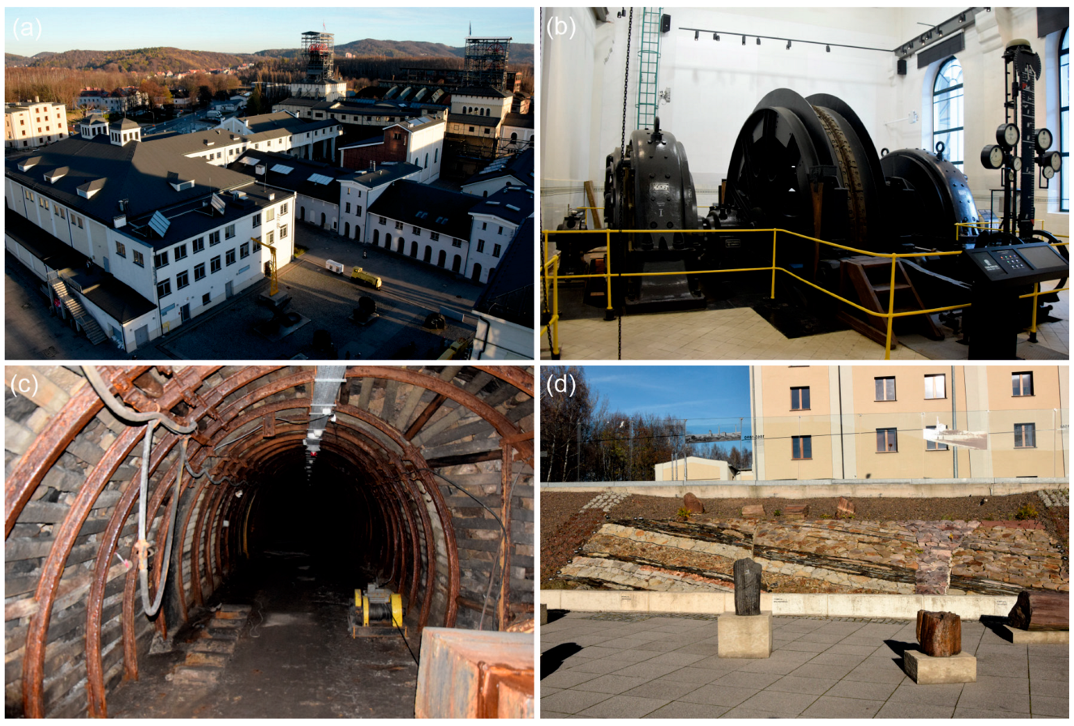 Sustainability 16 05626 g002