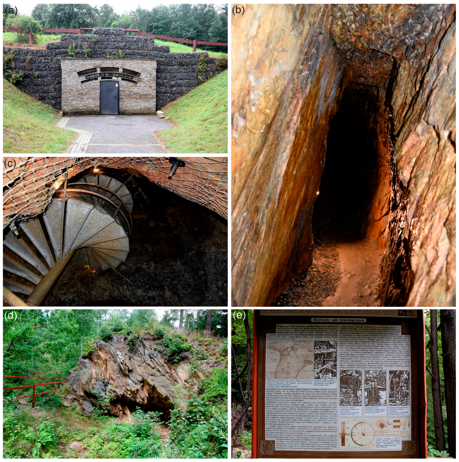 Sustainability 16 05626 g003