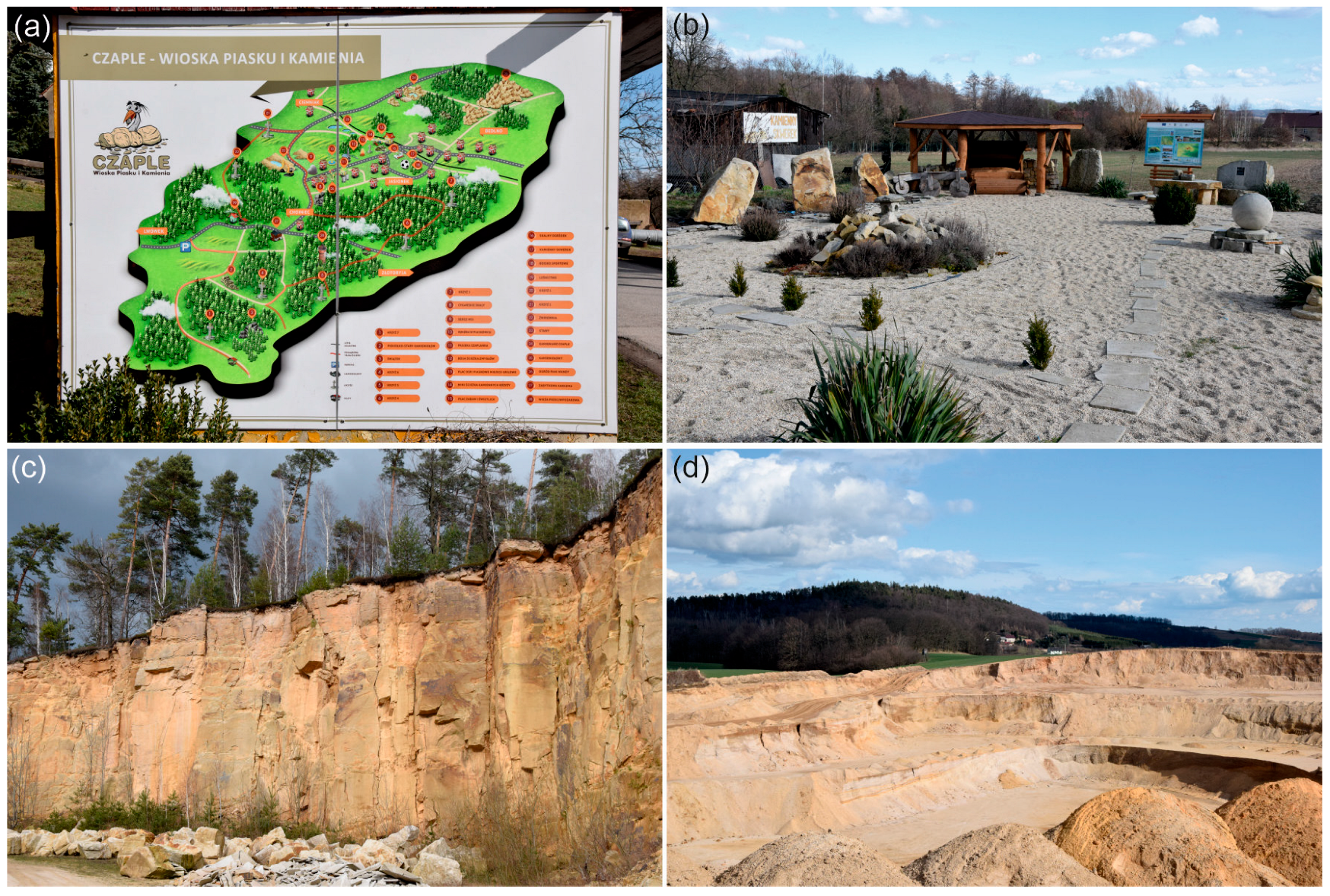 Sustainability 16 05626 g004