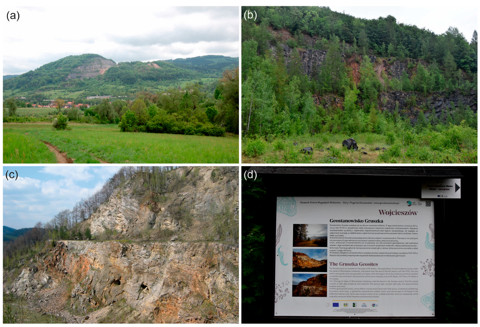 Sustainability 16 05626 g007