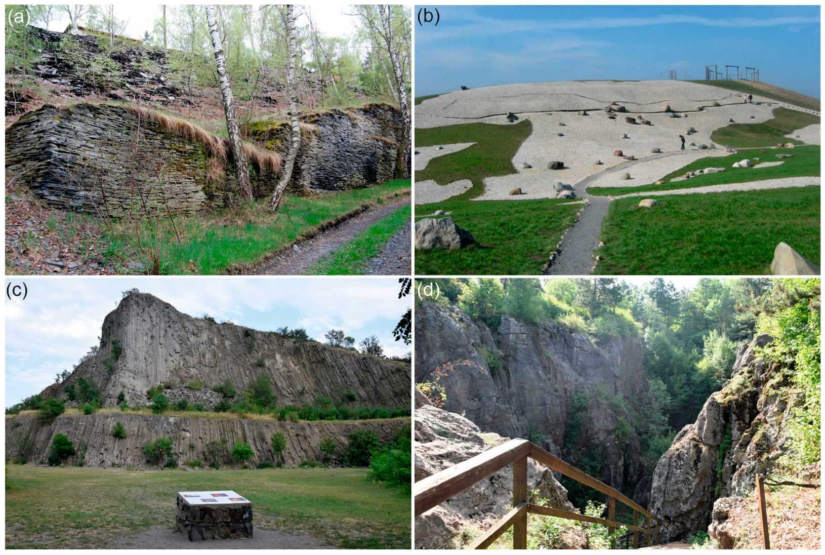 Sustainability 16 05626 g009