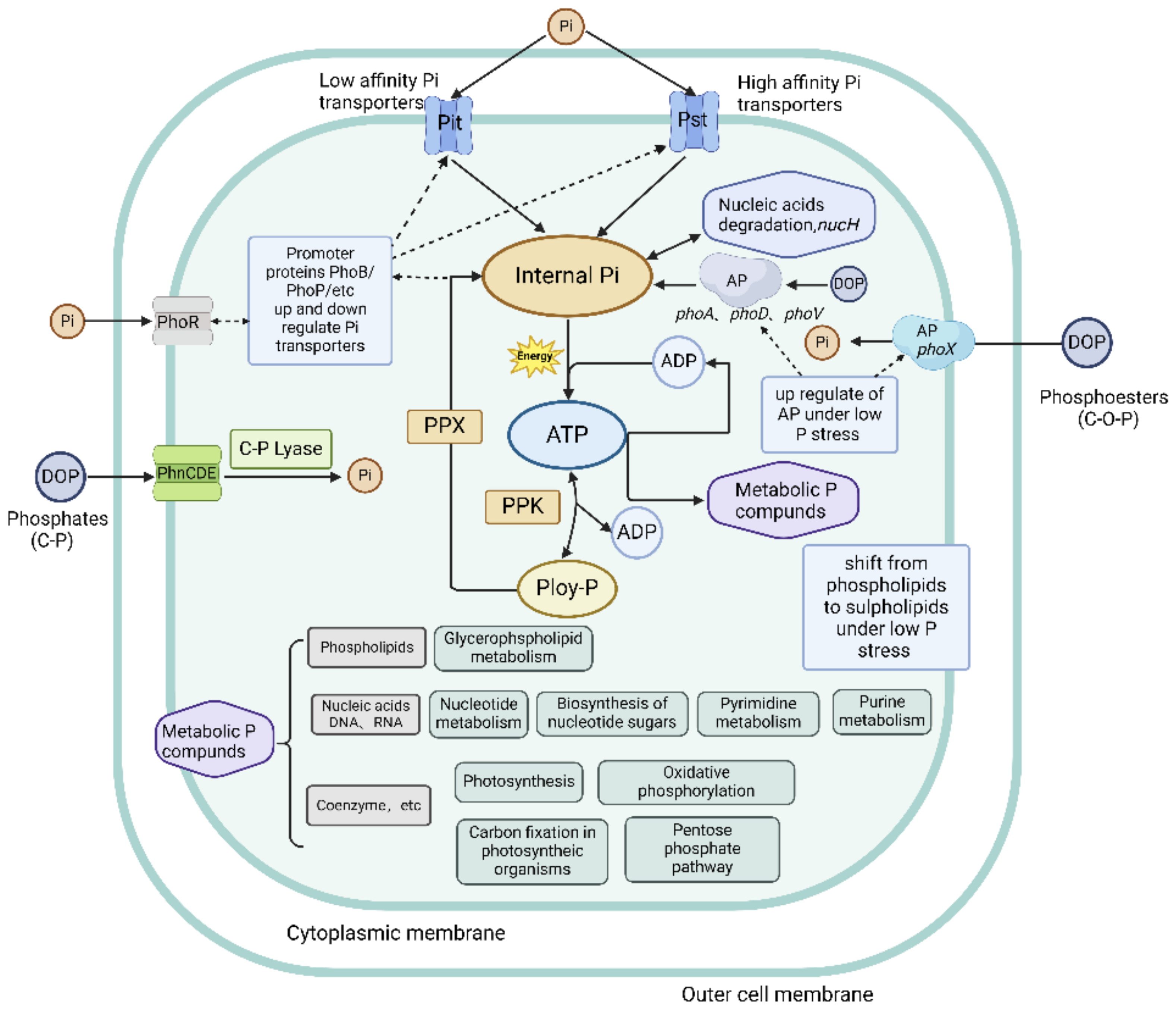Sustainability 16 05642 g002 Sustainability 16 05642 g002
