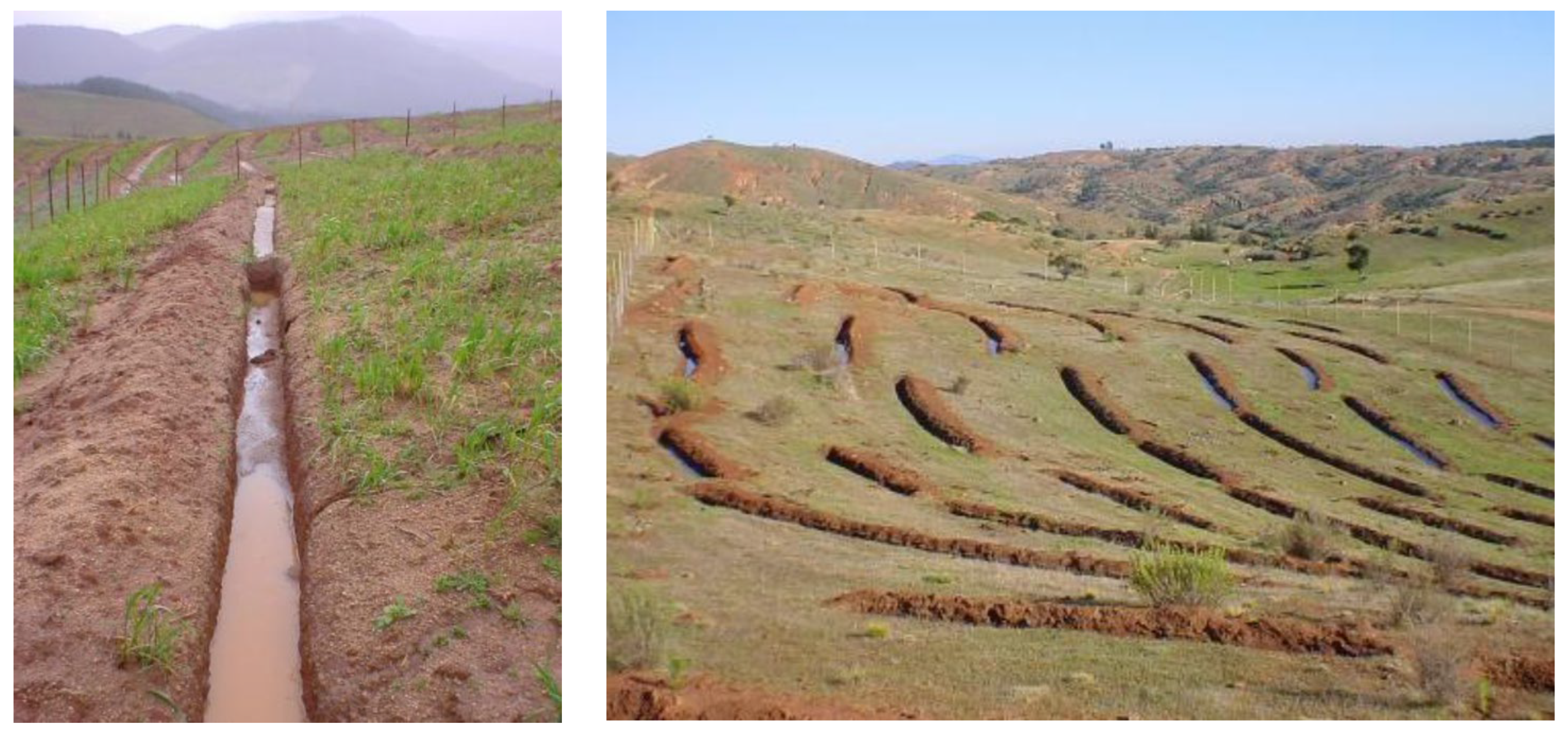 Sustainability 16 05645 g001