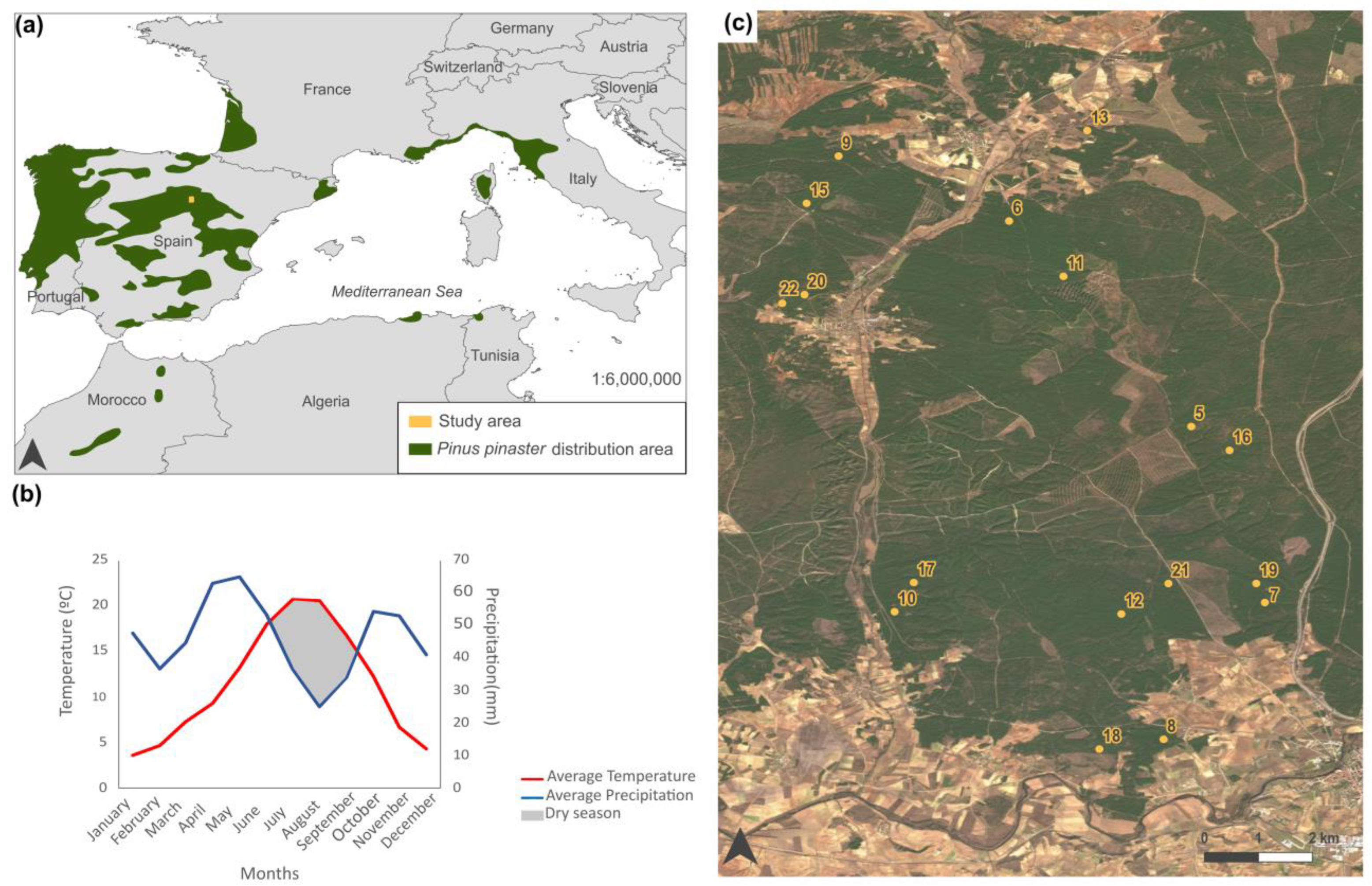Sustainability 16 05656 g001