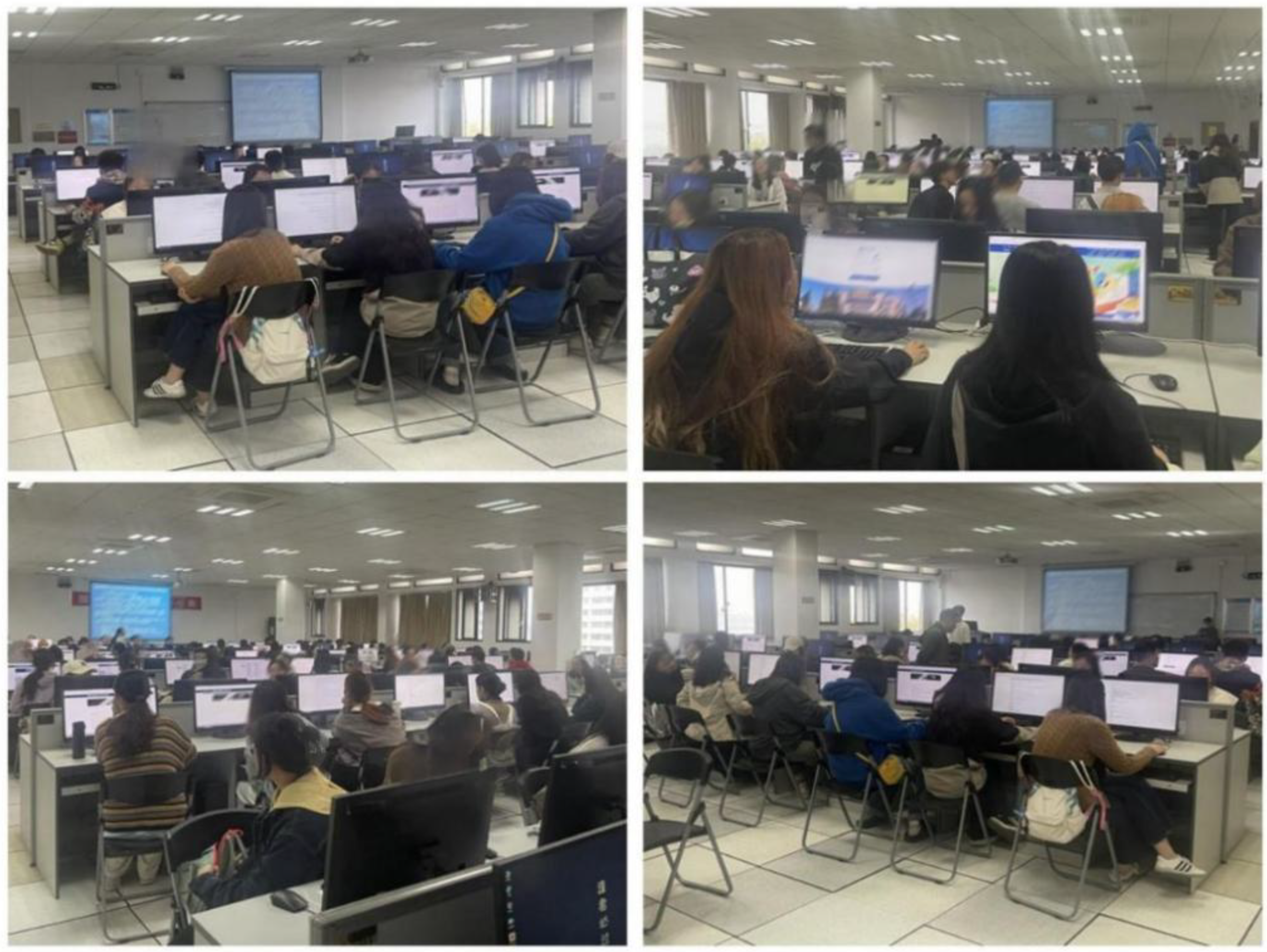 Sustainability 16 05674 g002